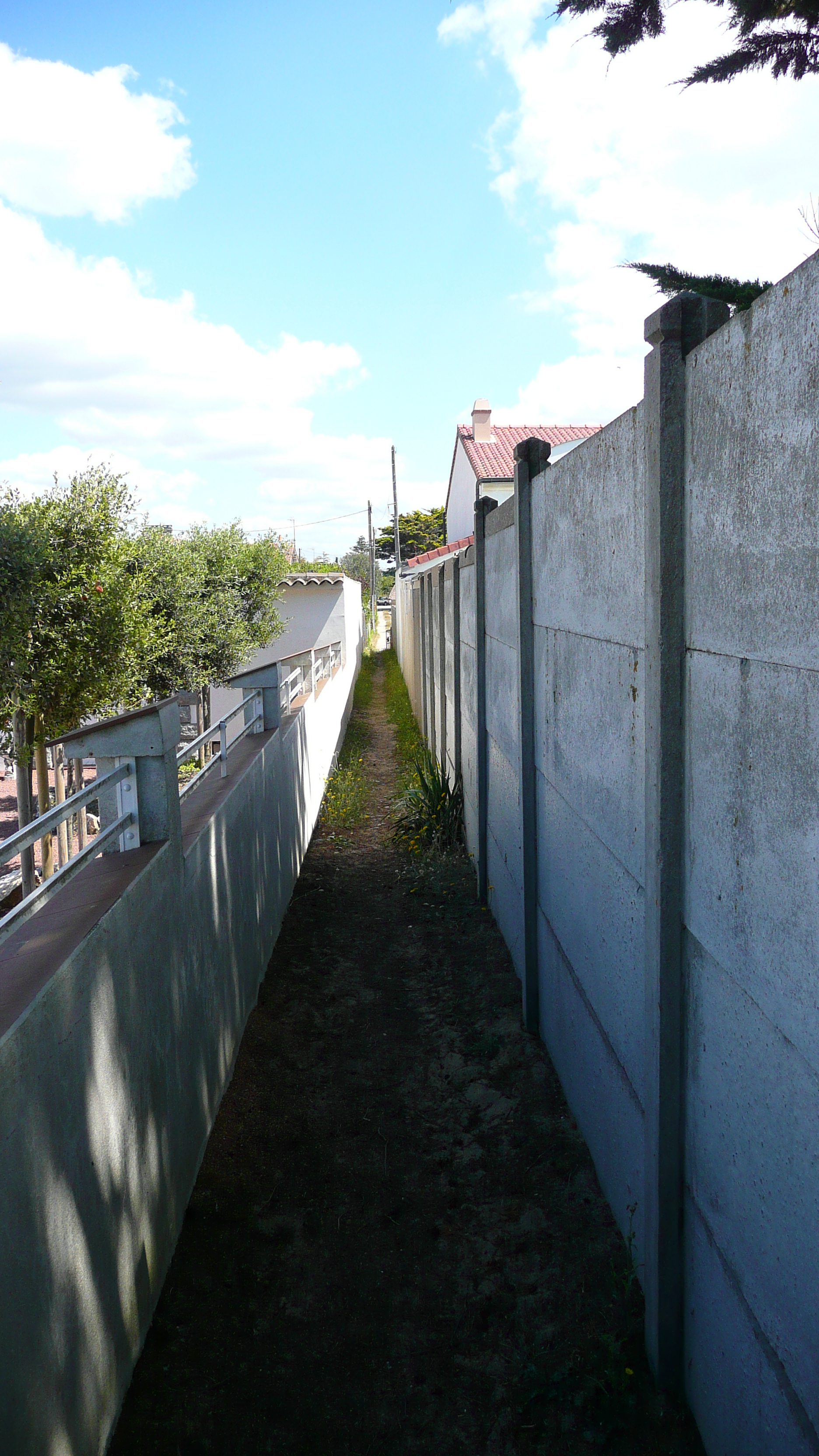 照片 法国(France) 普雷法耶(Prefailles) 圣吉尔达角至拉普雷(La pointe Saint Gildas to La Pree) 2007-08 37
