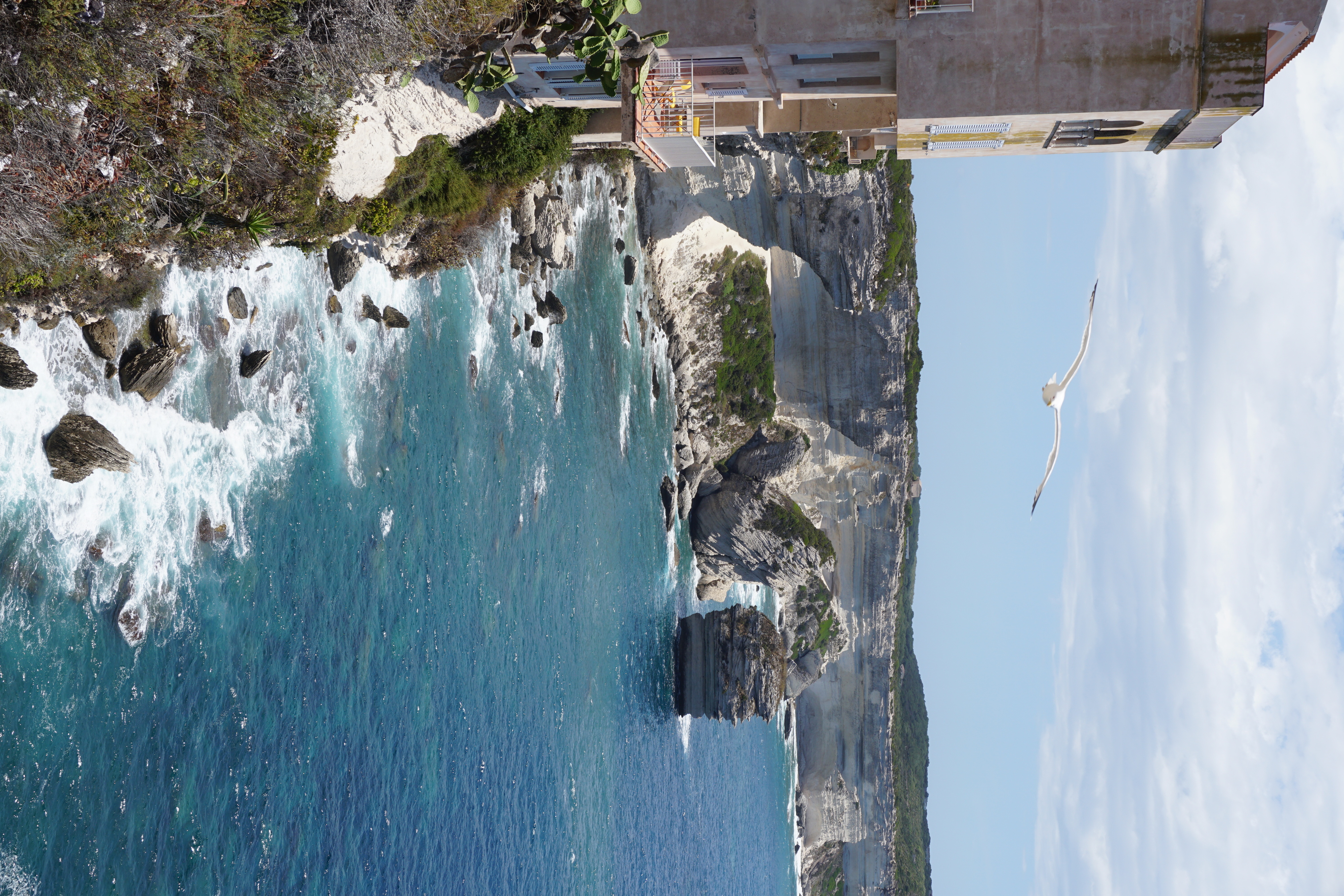 照片 法国(France) 科西嘉岛(Corsica) 博尼法乔(Bonifacio) 2017-07 11
