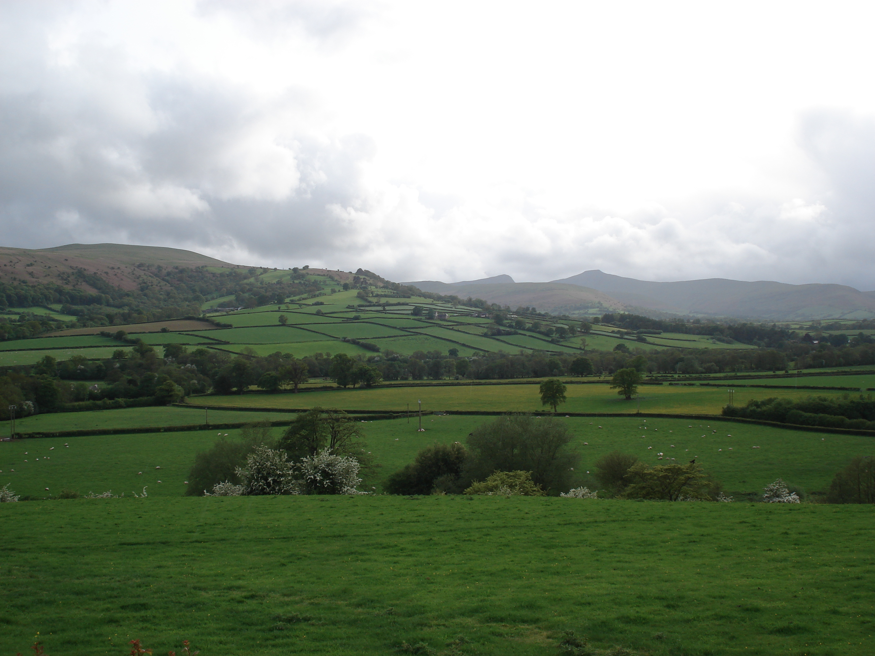 照片 英国(United Kingdom) 布雷肯比肯斯国家公园(Brecon Beacons National Park) 2006-05 106