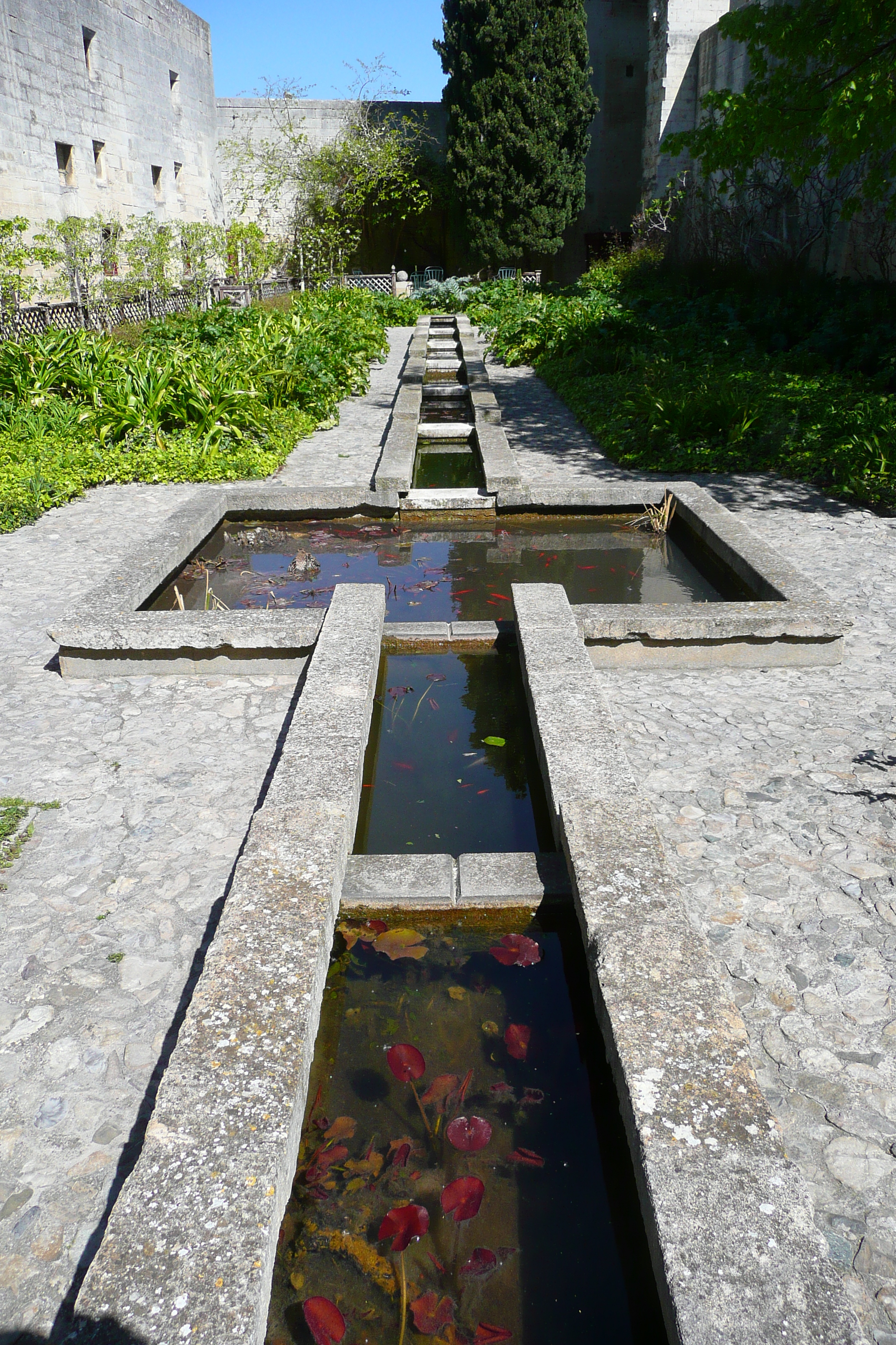 照片 法国(France) 塔拉斯孔(Tarascon) 塔拉斯孔城堡(Tarascon Castle) 2008-04 153