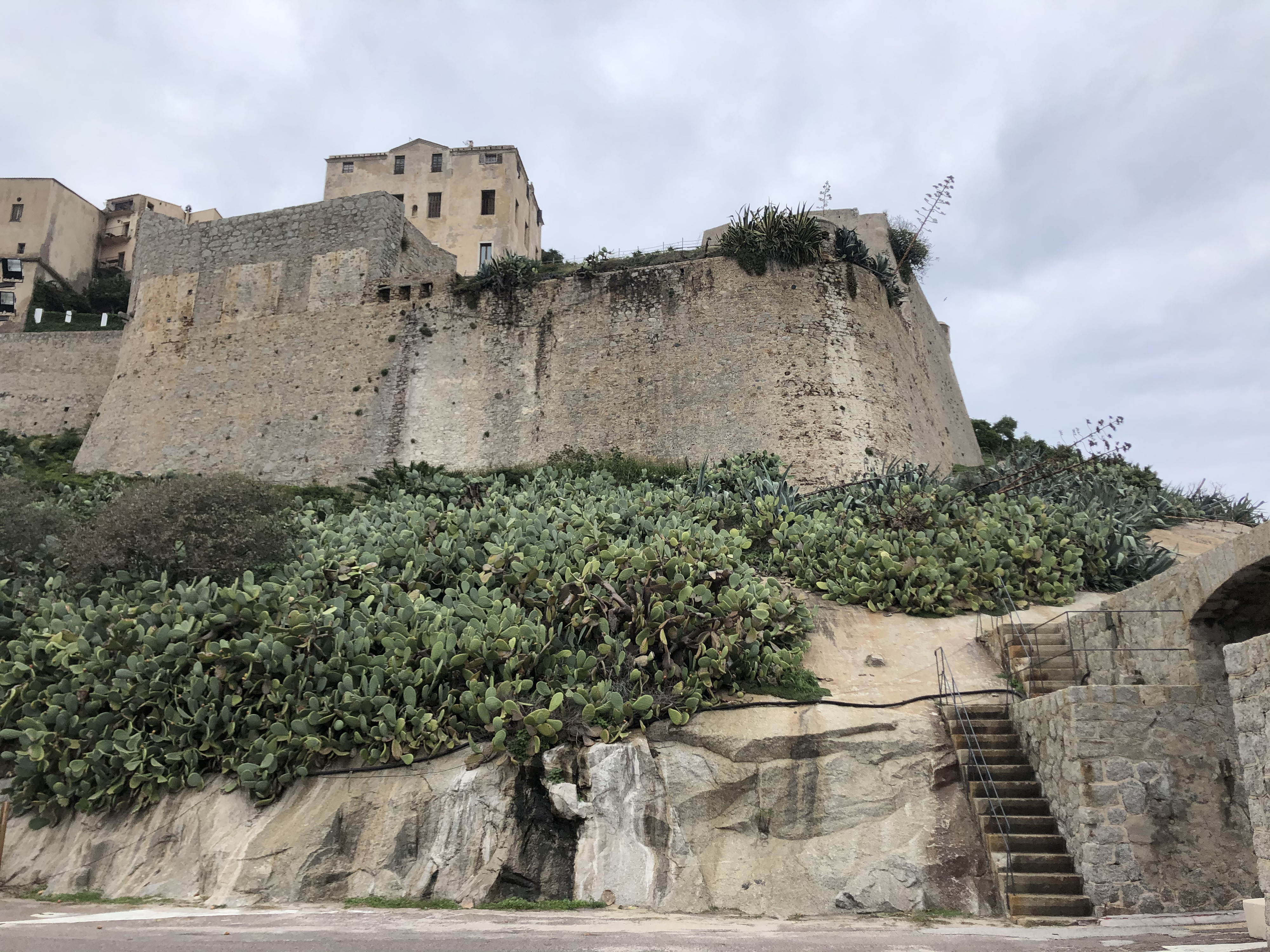 照片 法国(France) 科西嘉岛(Corsica) 卡尔维(Calvi) 2020-10 3