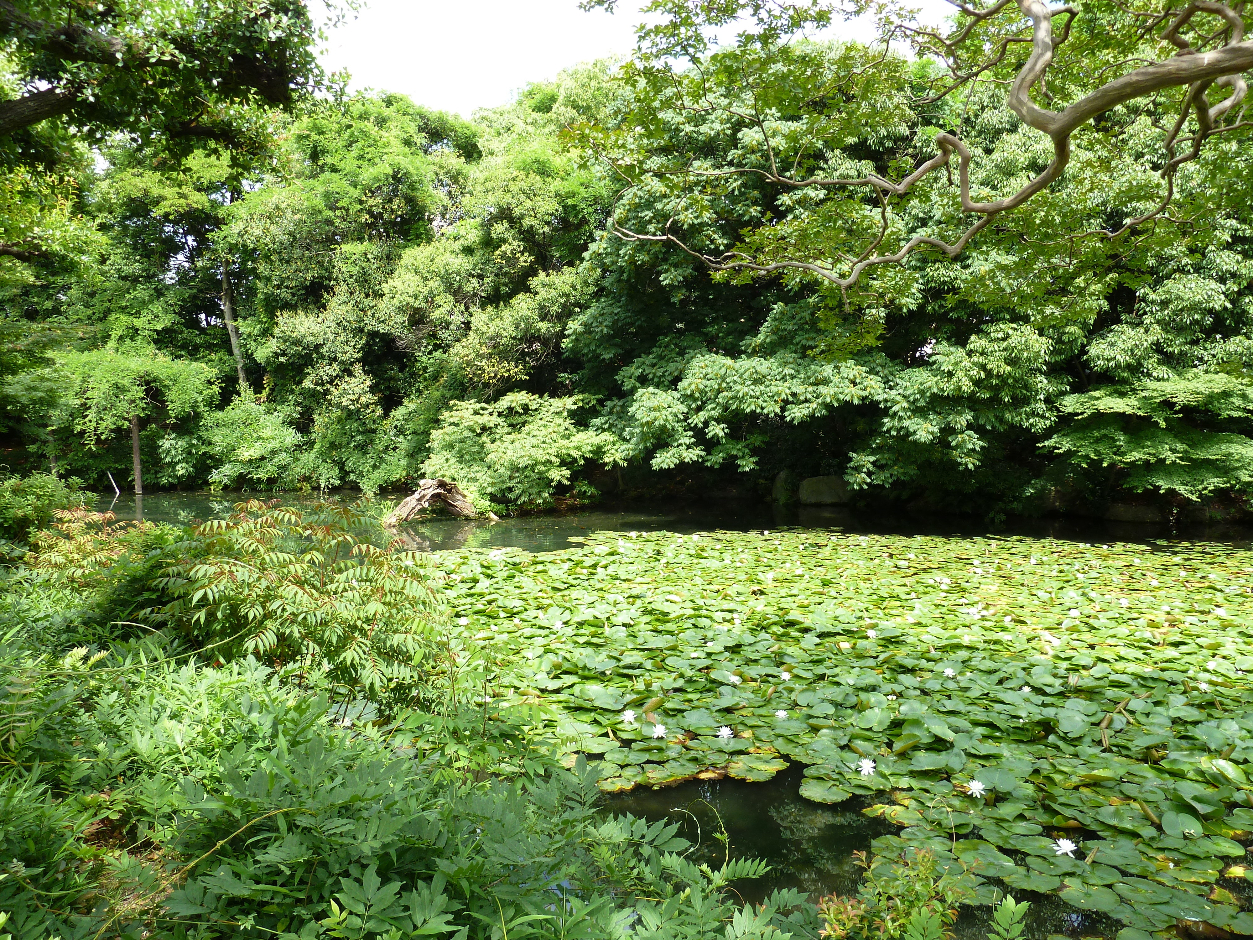 照片 日本(Japan) 京都(Kyoto) 涉成园(Shosei en Garden) 2010-06 46