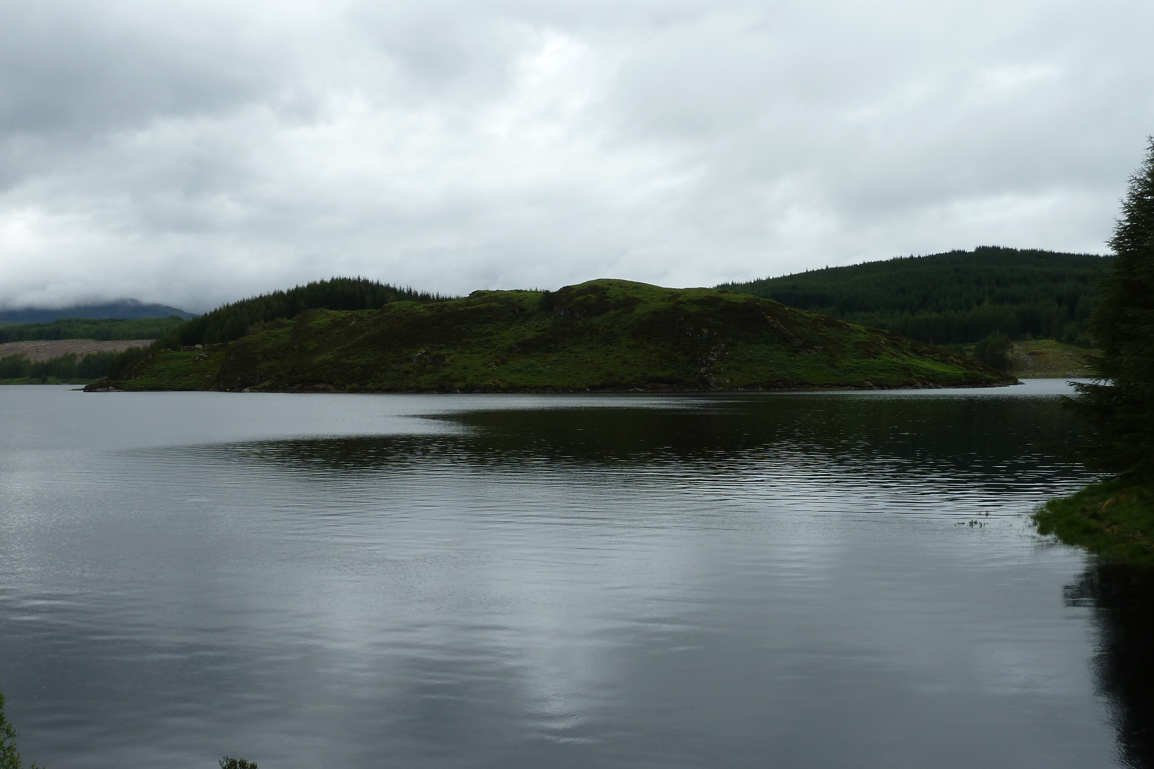 照片 英国(United Kingdom) 苏格兰(Scotland) 阿维莫尔至拉甘湖公路(Aviemore to Loch Laggan road) 2011-07 7