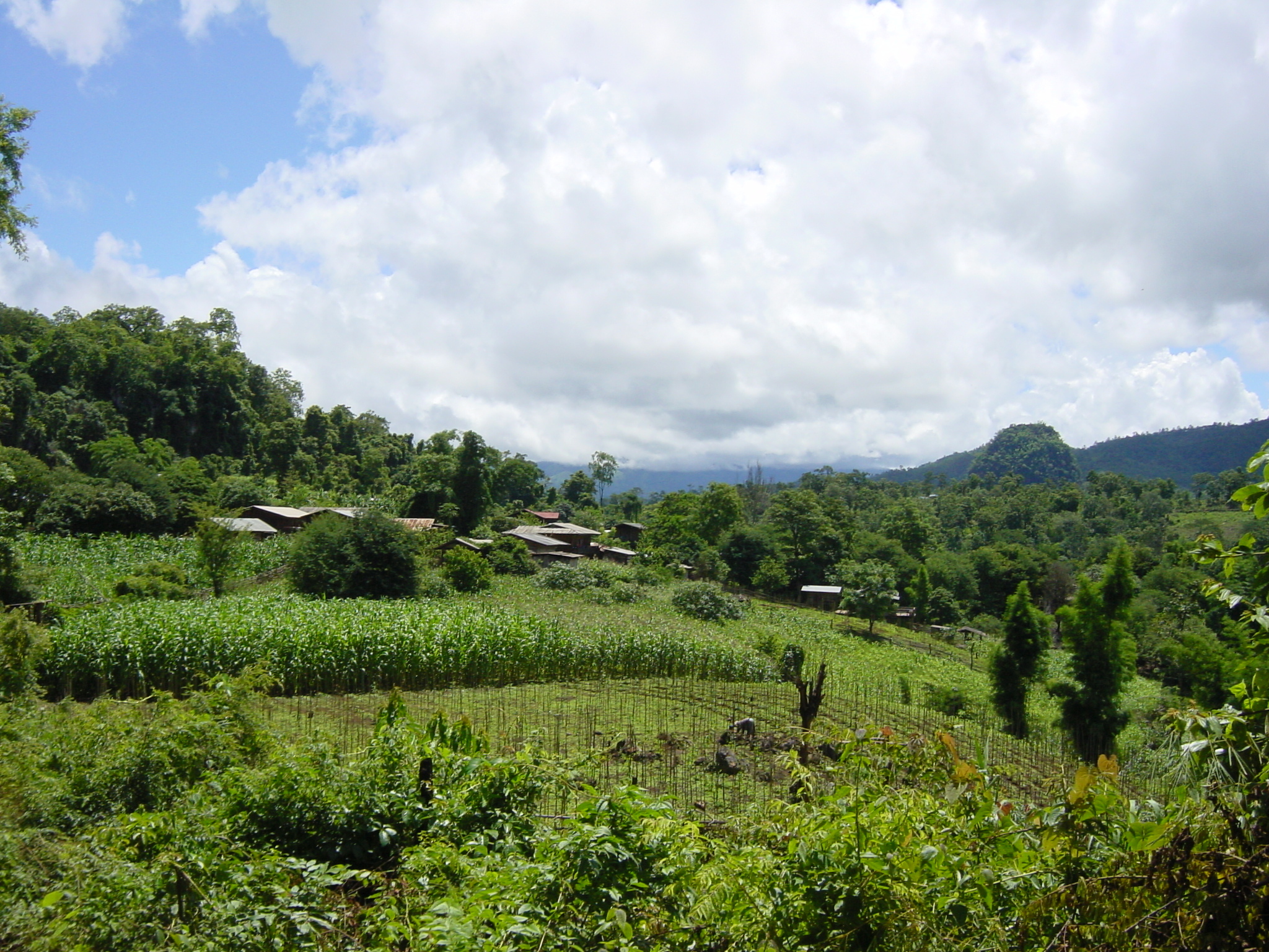 照片 泰国(Thailand) 夜丰颂(Mae Hong Son) 2003-07 102