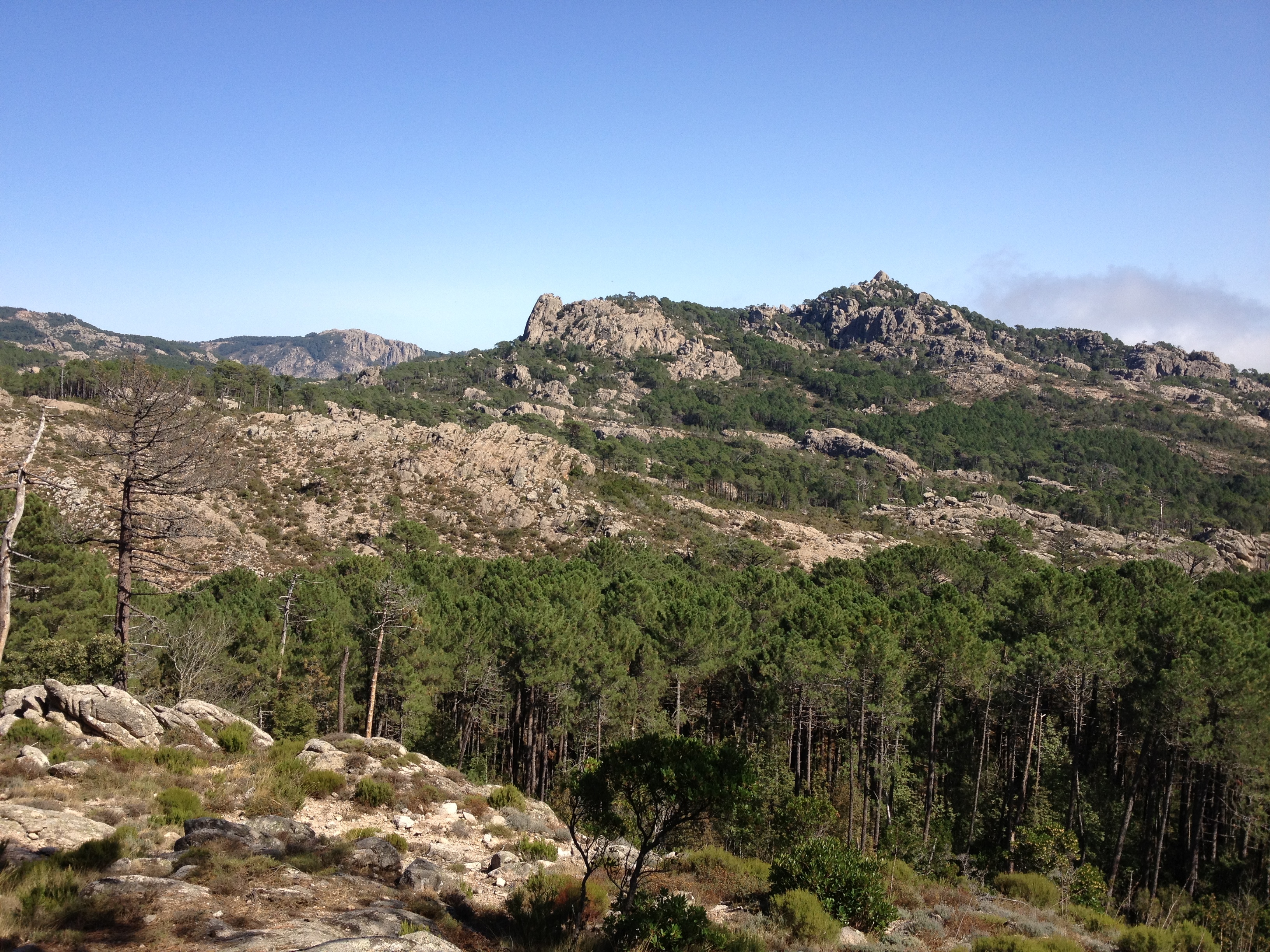 照片 法国(France) 科西嘉岛(Corsica) 奥斯佩达莱森林(L'ospedale Forest) 2012-09 9