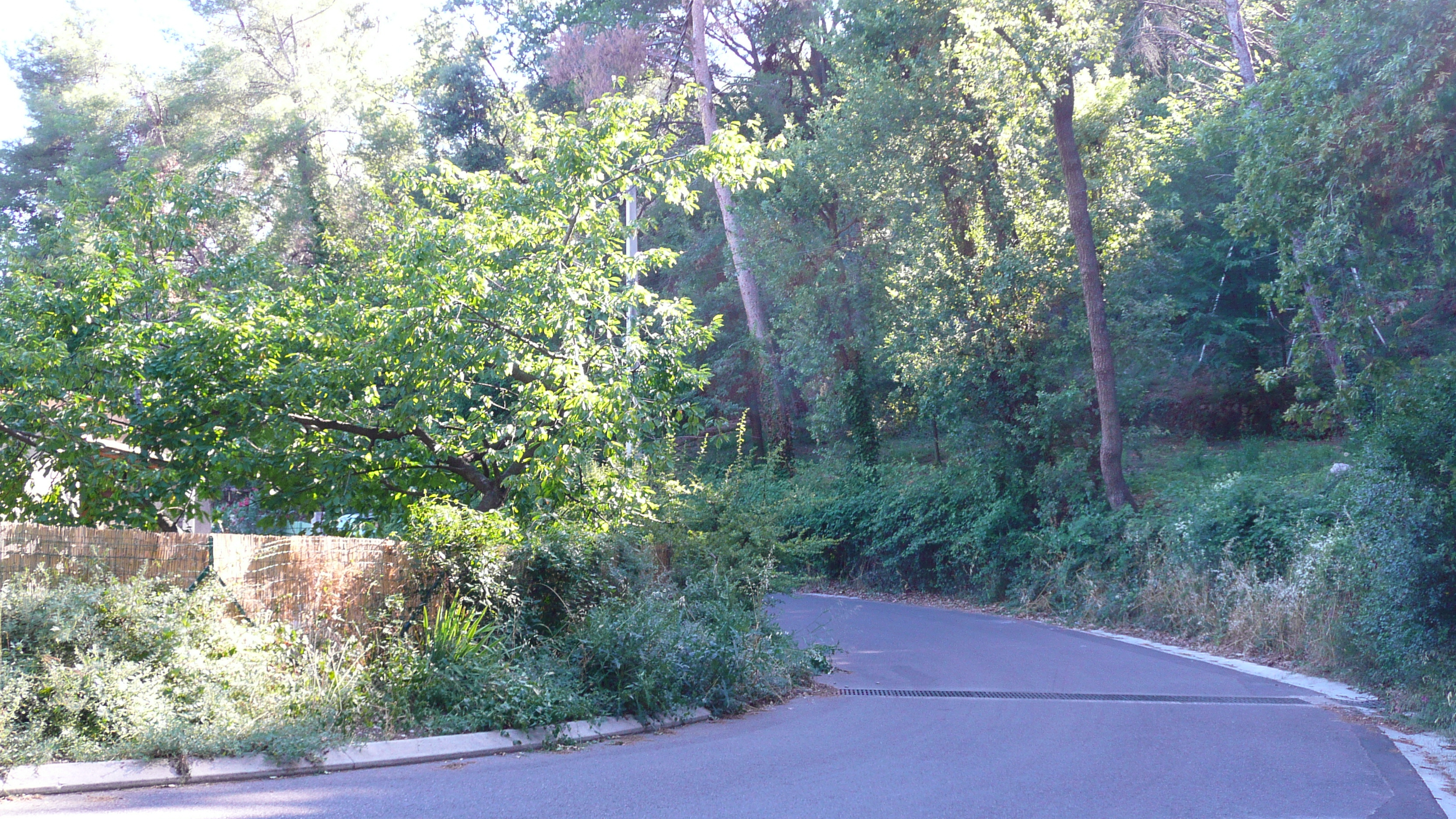 照片 法国(France) 拉戈德(La Gaude) 2007-07 72