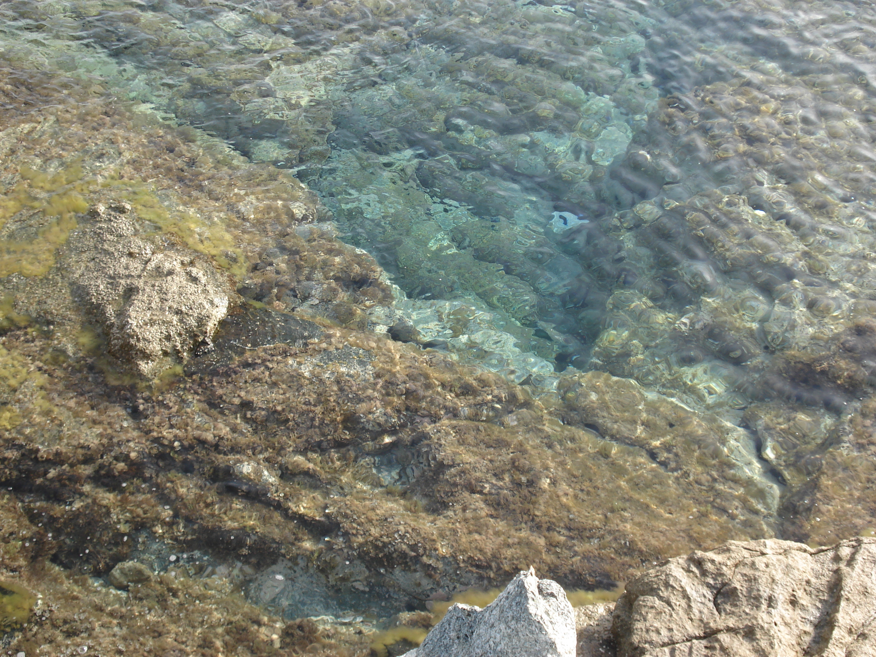 照片 法国(France) 科西嘉岛(Corsica) 卢米奥(Lumio) 2006-09 33
