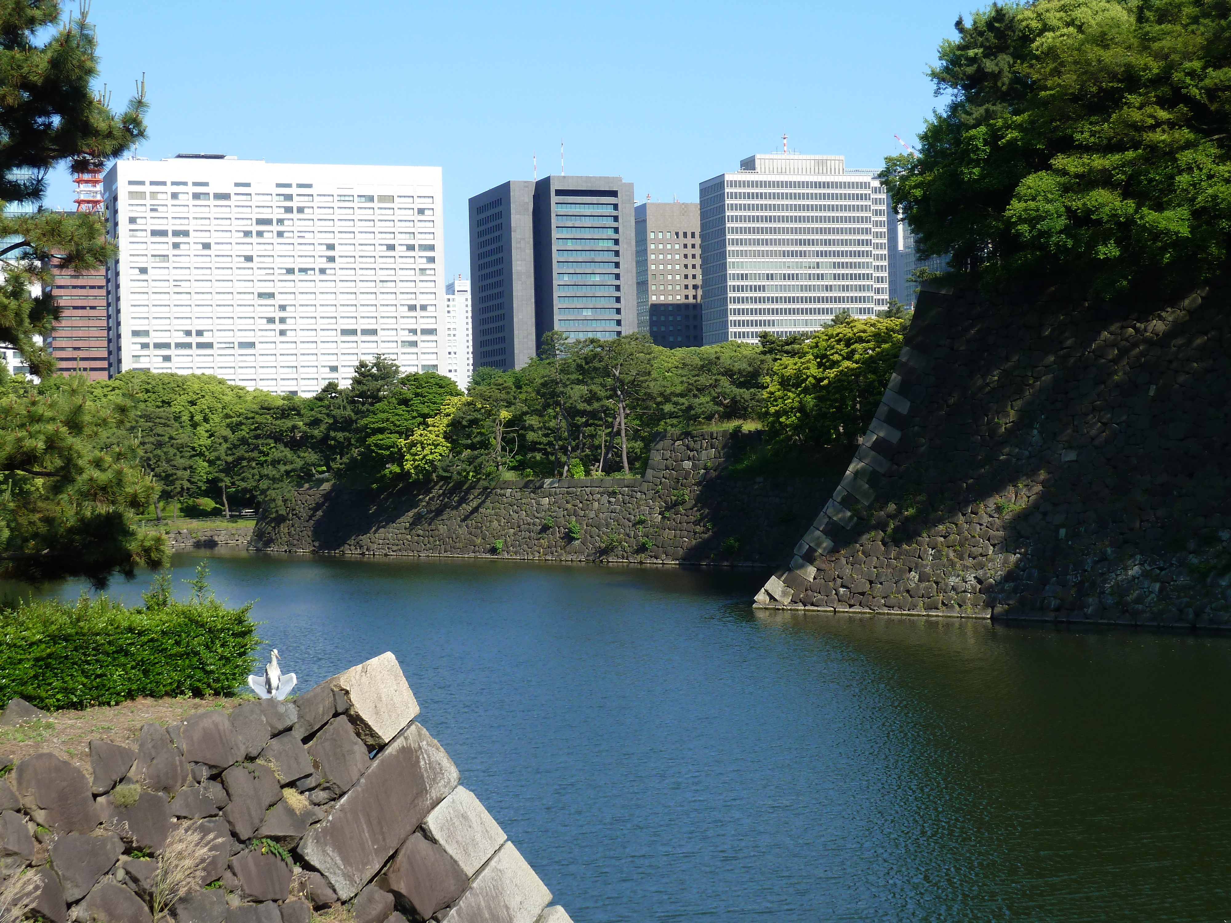 照片 日本(Japan) 东京(Tokyo) 皇居(Imperial Palace) 2010-06 94