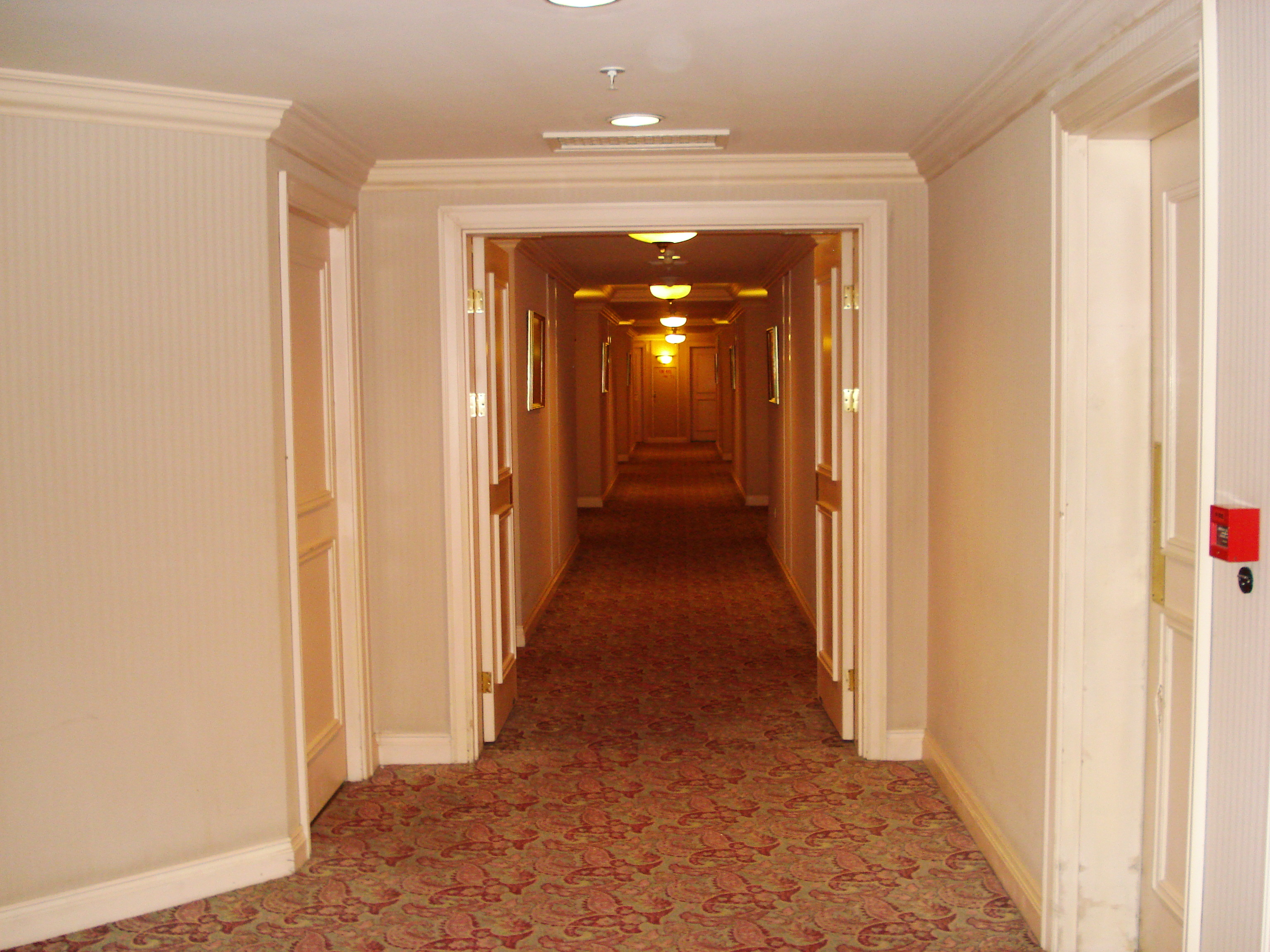 照片 哈萨克斯坦(Kazakhstan) 阿拉木图(Almaty) 阿拉木图洲际酒店(Intercontinental Almaty Hotel) 2007-03 22