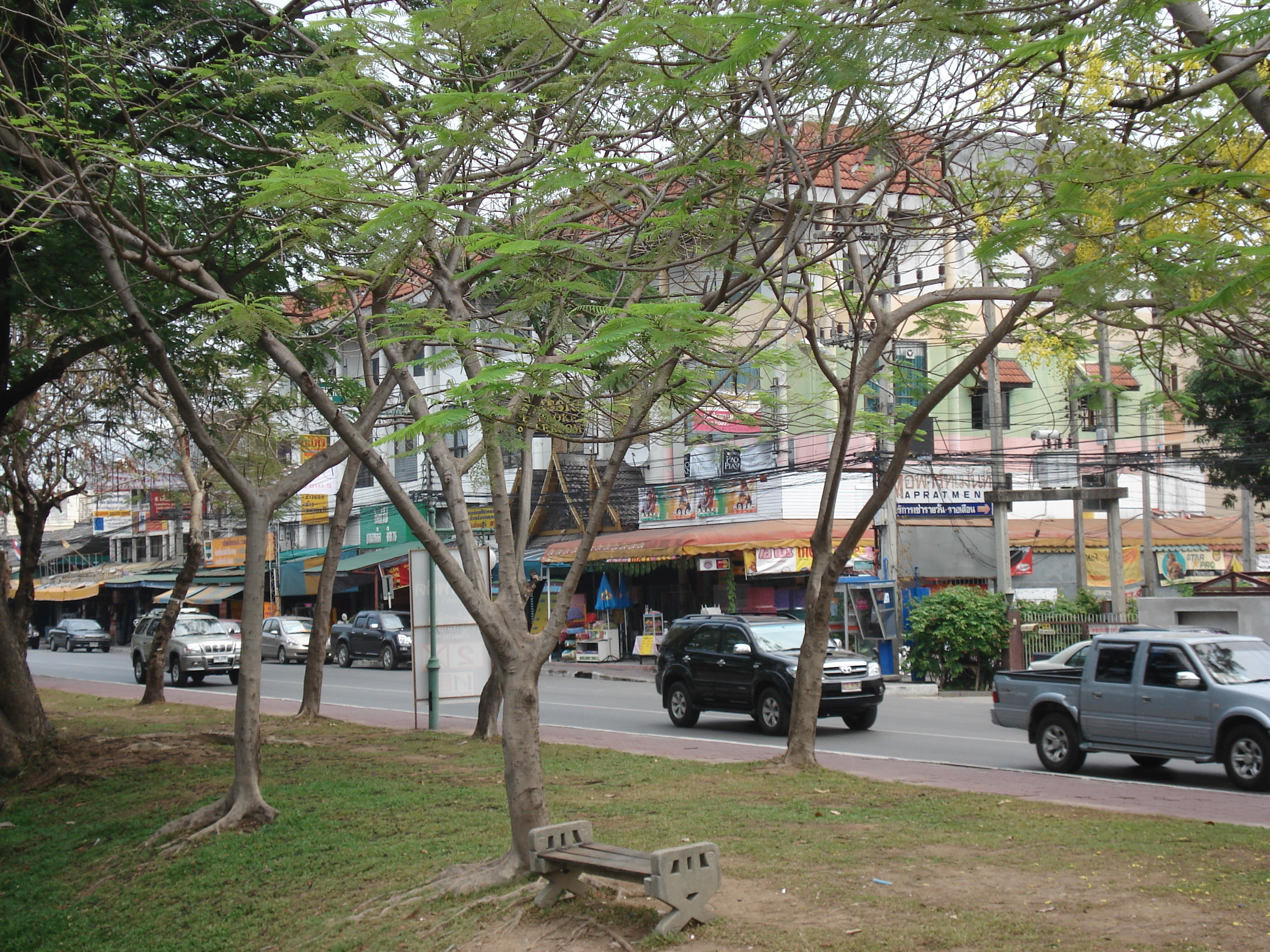 照片 泰国(Thailand) 清迈(Chiang Mai) 护城河内(Inside Canal) 阿拉路（护城河）(Arrak Road(Canal)) 2006-04 11