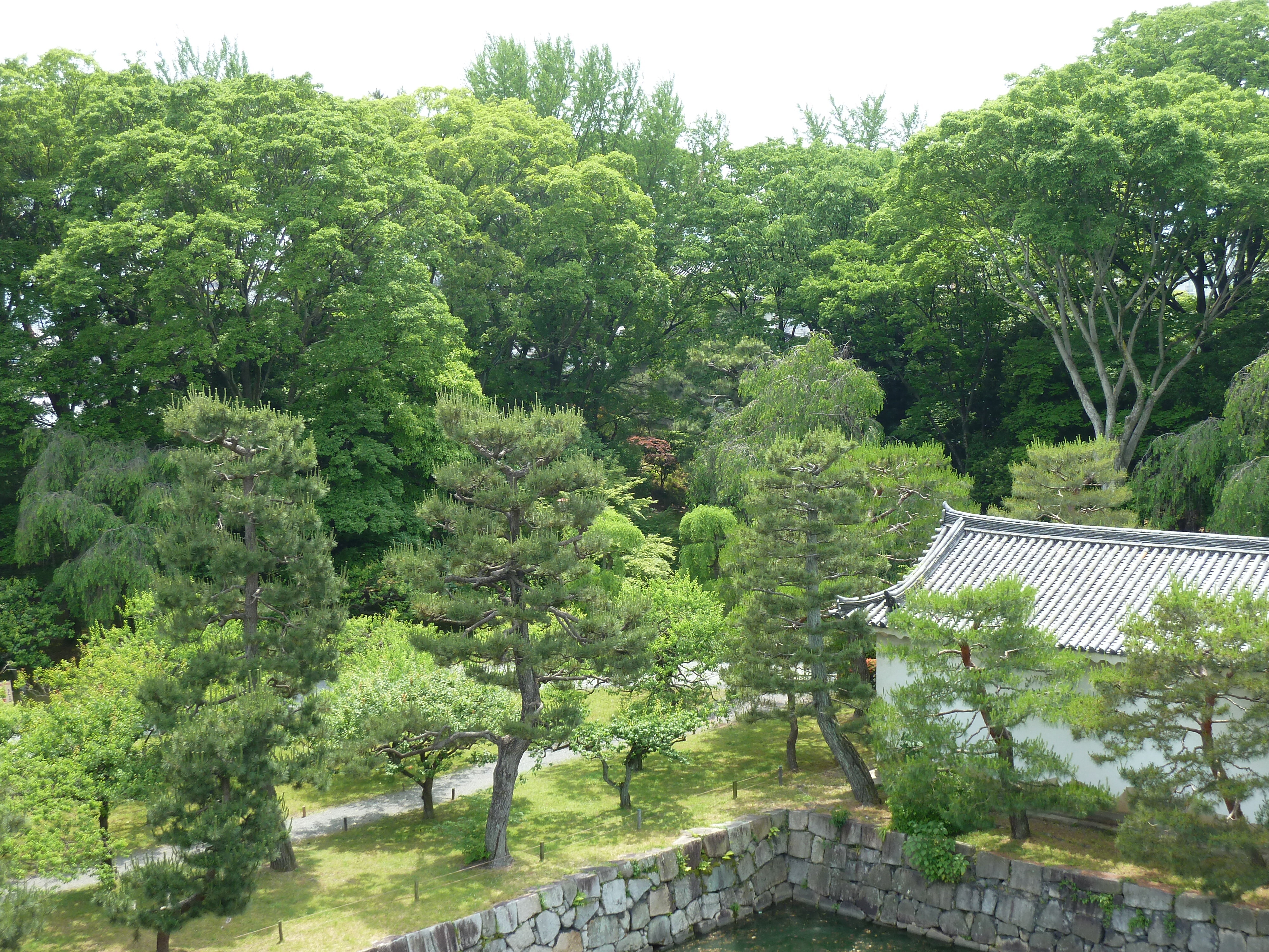 照片 日本(Japan) 京都(Kyoto) 二条城(Nijo Castle) 本丸御殿(Honmaru Palace) 2010-06 1