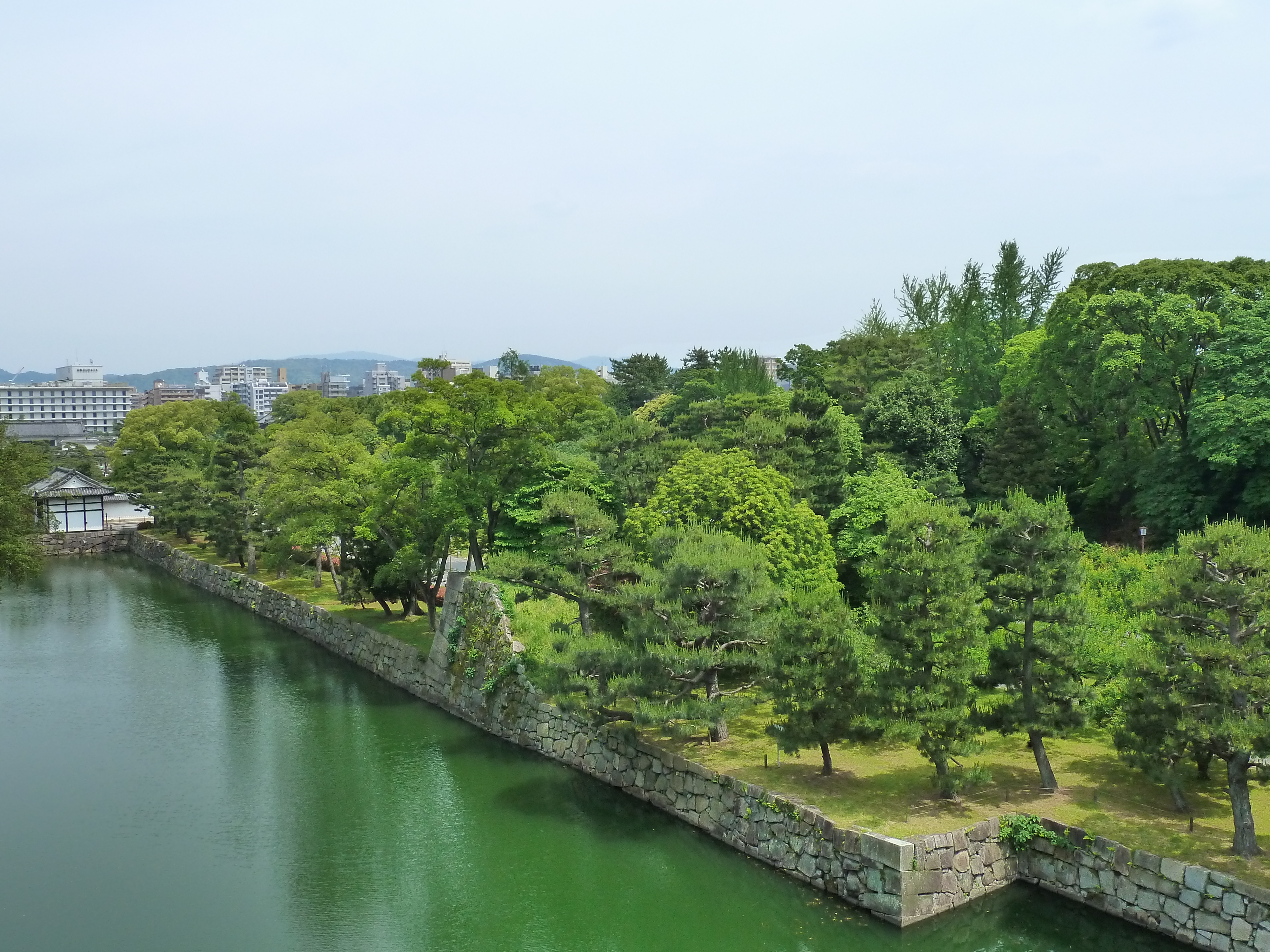 照片 日本(Japan) 京都(Kyoto) 二条城(Nijo Castle) 本丸御殿(Honmaru Palace) 2010-06 8