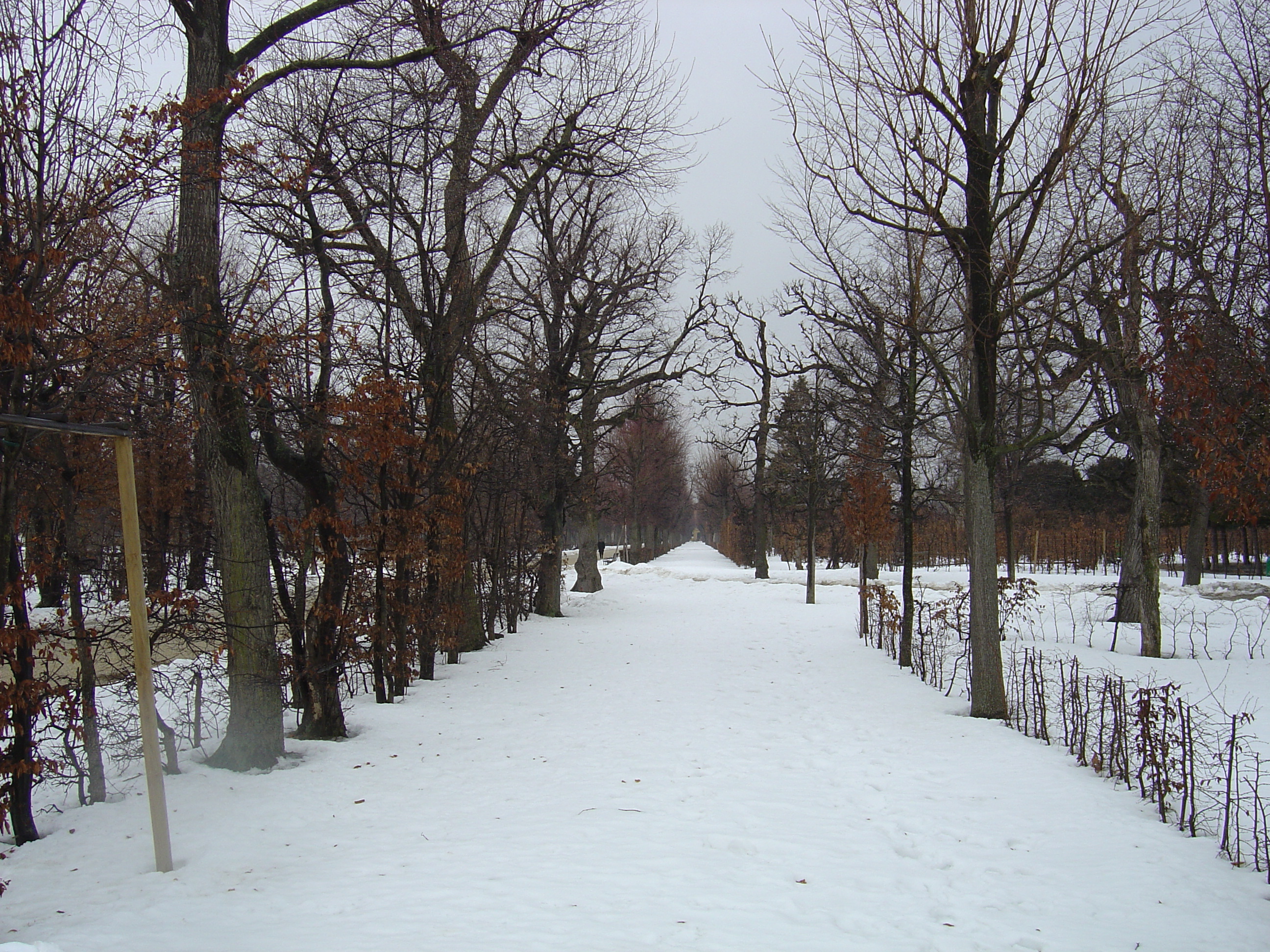 照片 奥地利(Austria) 维也纳(Vienna) 2005-03 2