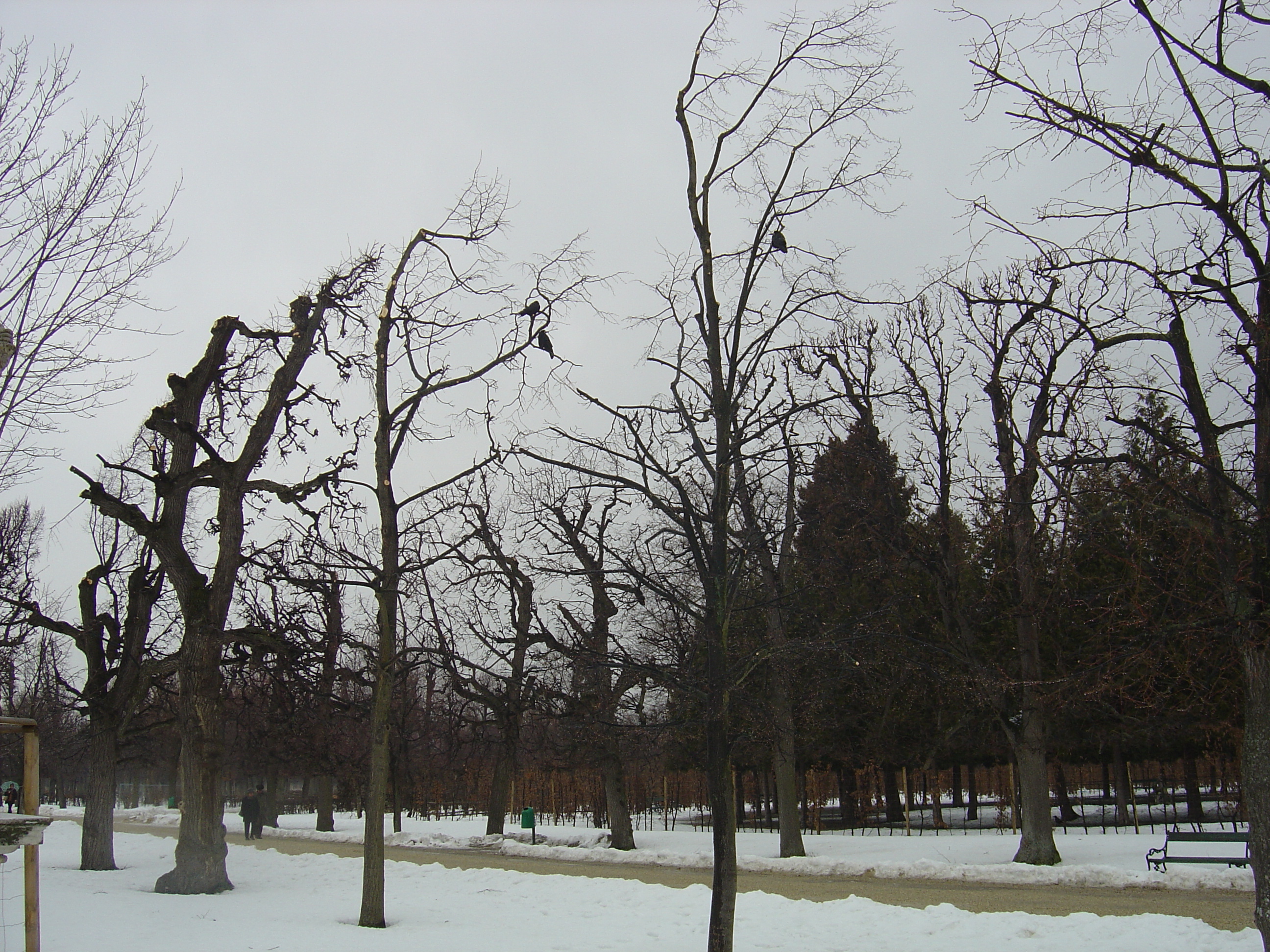 照片 奥地利(Austria) 维也纳(Vienna) 2005-03 45