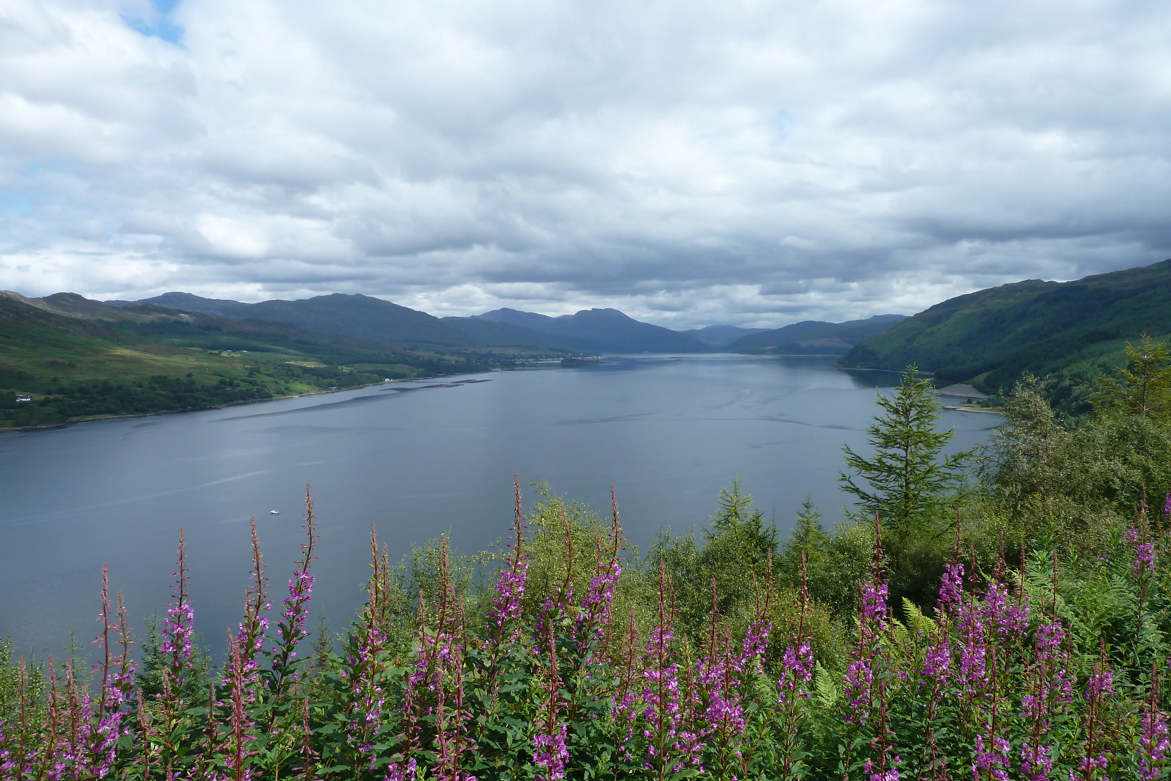 照片 英国(United Kingdom) 韦斯特罗斯(Wester Ross) 2011-07 53