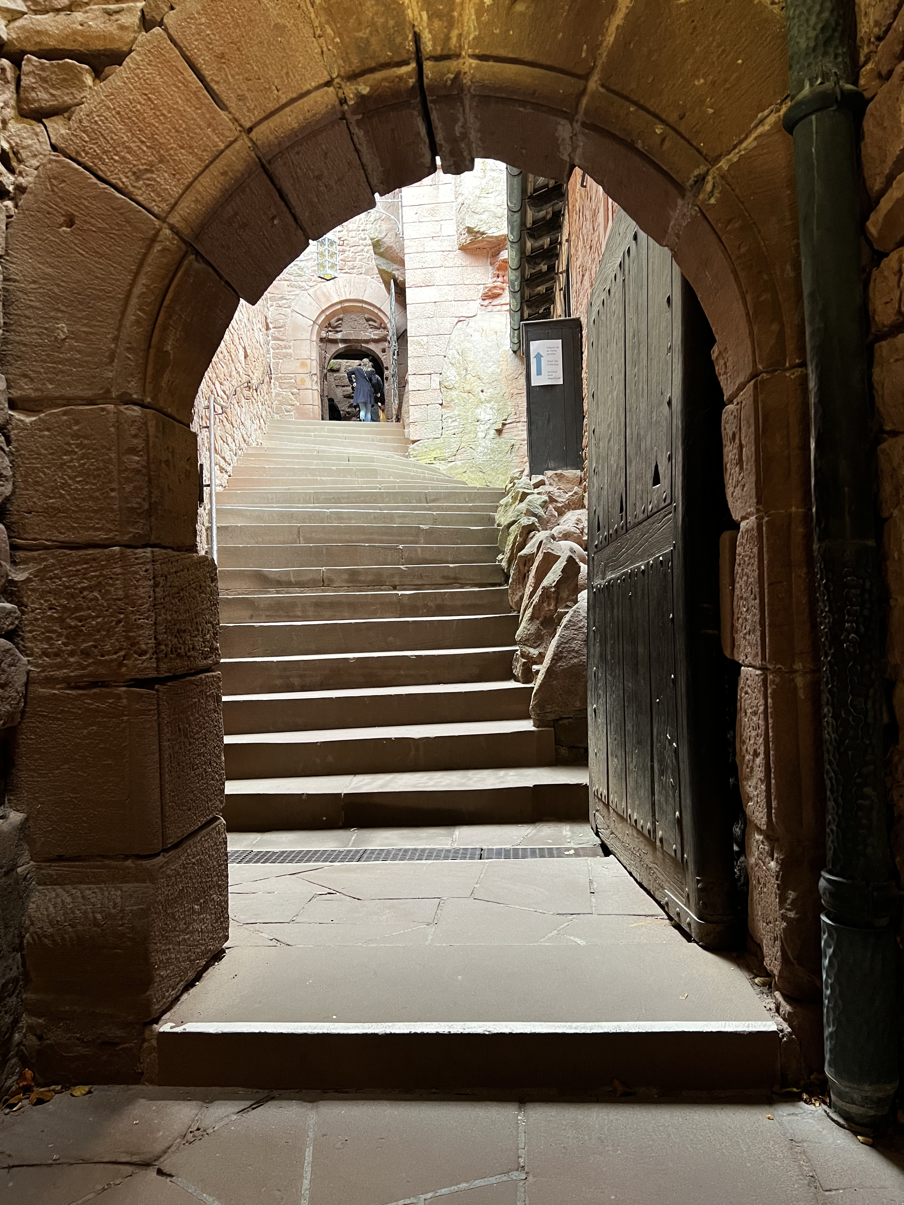 照片 法国(France) 上国王堡(Koenigsbourg Castle) 2023-10 33