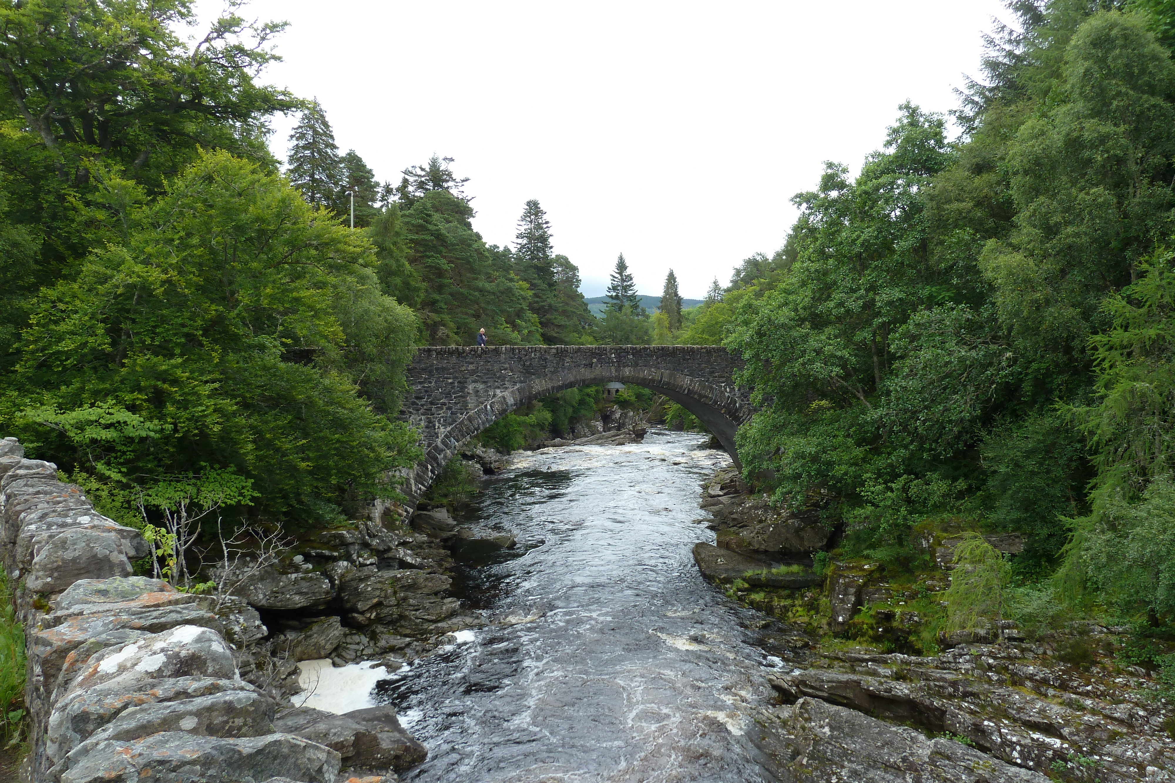 照片 英国(United Kingdom) 苏格兰(Scotland) 拉甘湖至尼斯湖公路(Loch Laggan to Loch Ness road) 2011-07 8