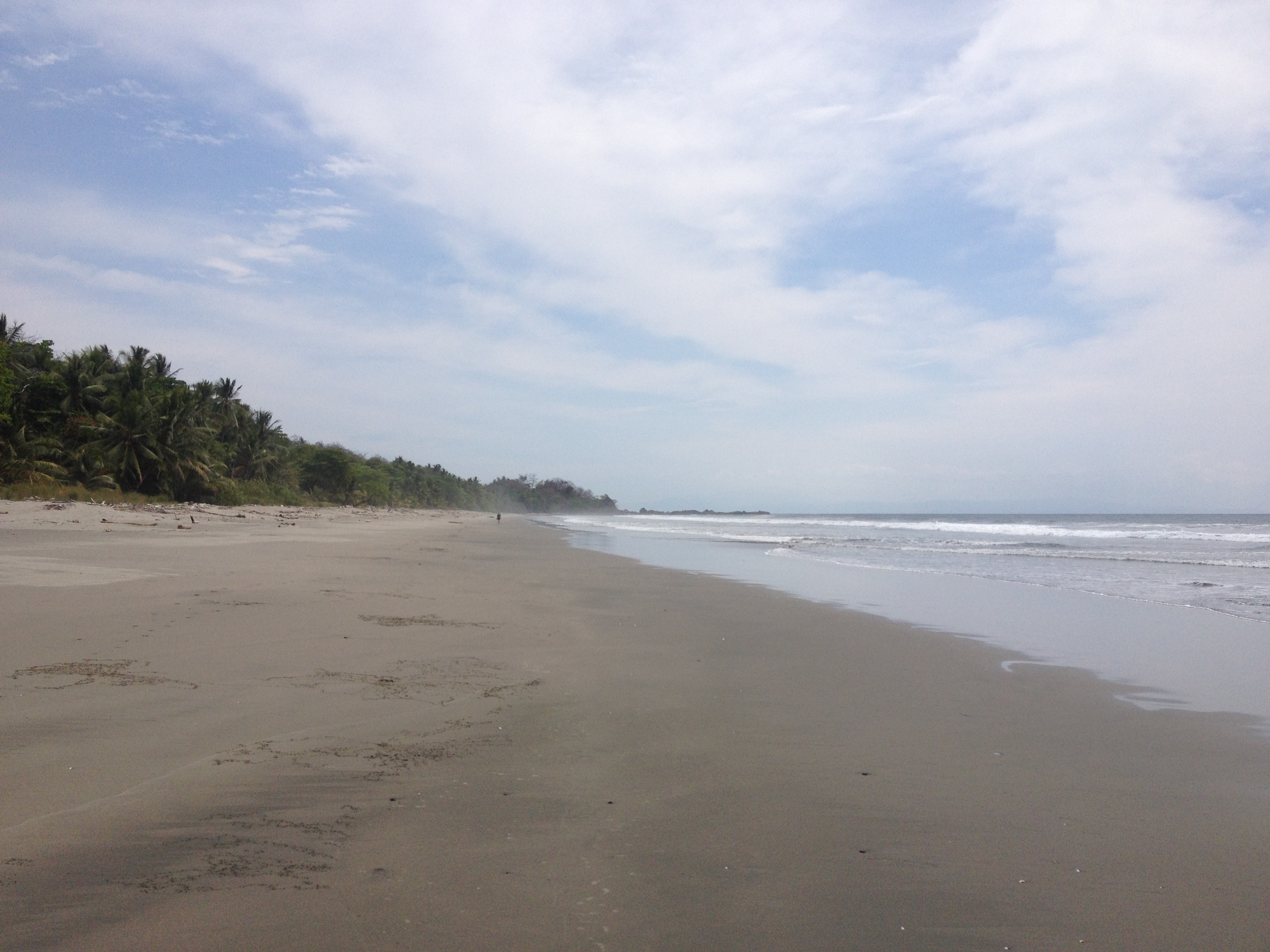 照片 哥斯达黎加(Costa Rica) 蒙特苏马(Montezuma) 2015-03 325
