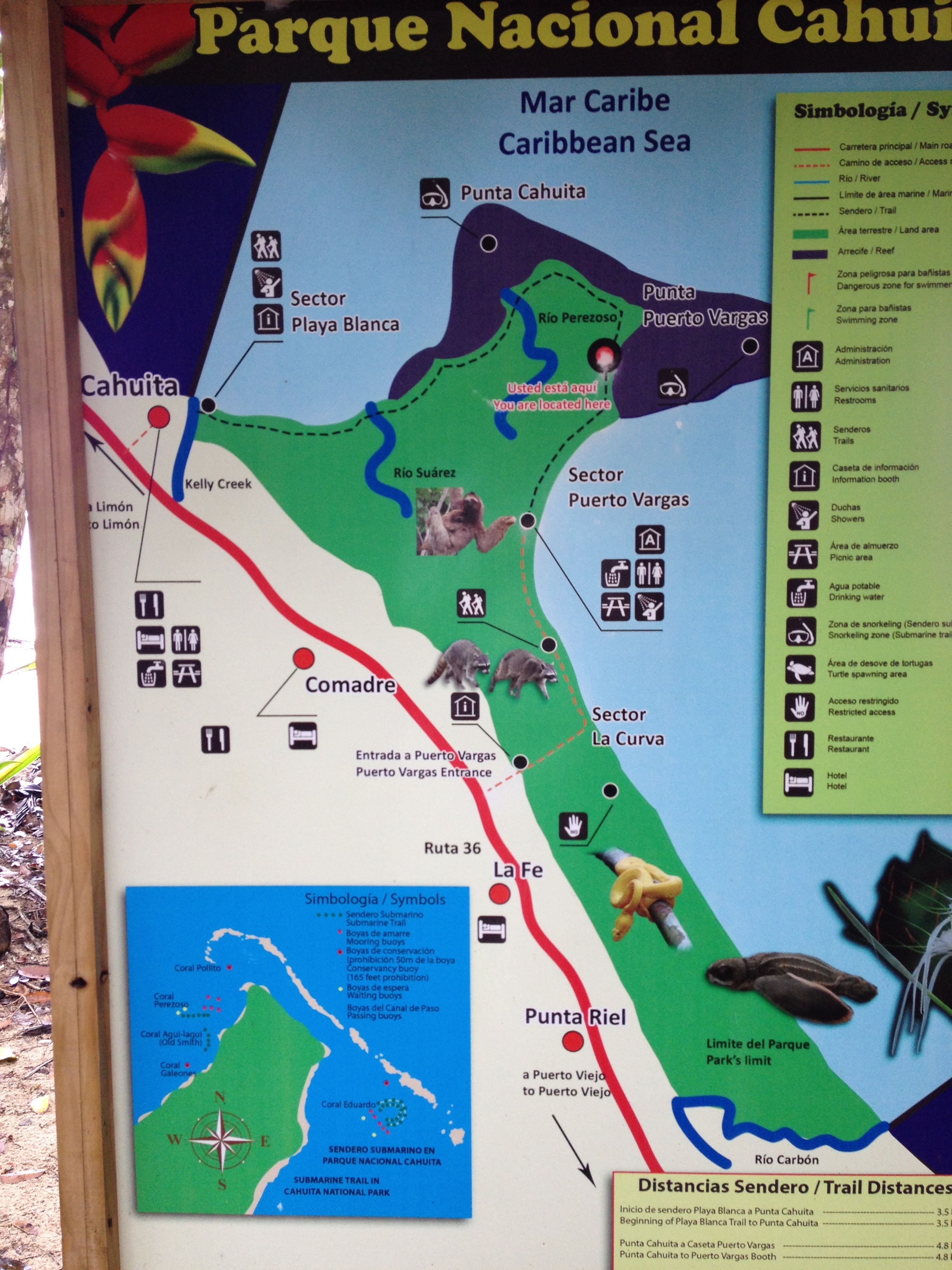 照片 哥斯达黎加(Costa Rica) 卡维塔(Cahuita) 2015-03 219