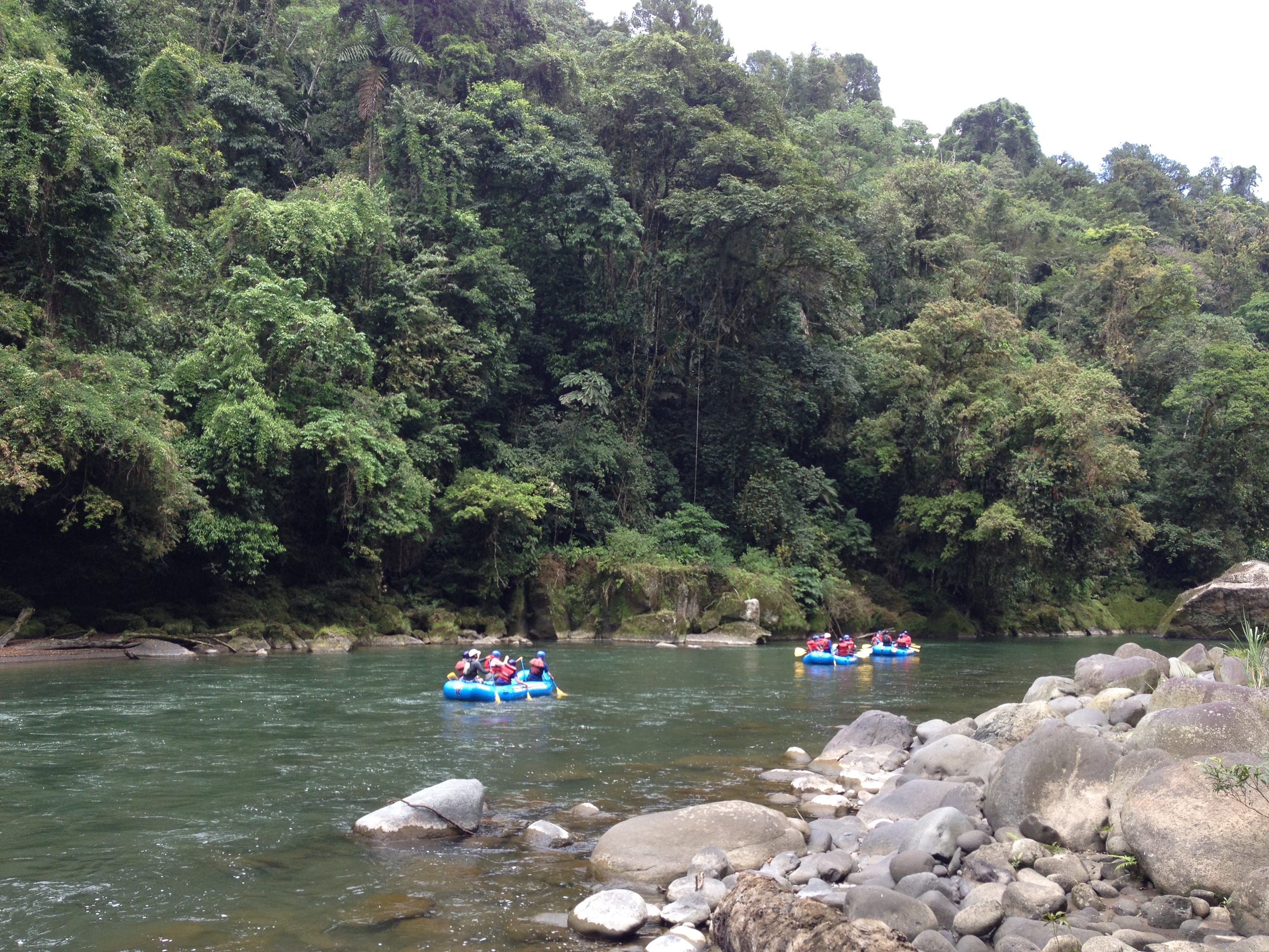 照片 哥斯达黎加(Costa Rica) 帕夸雷河(Pacuare River) 2015-03 257