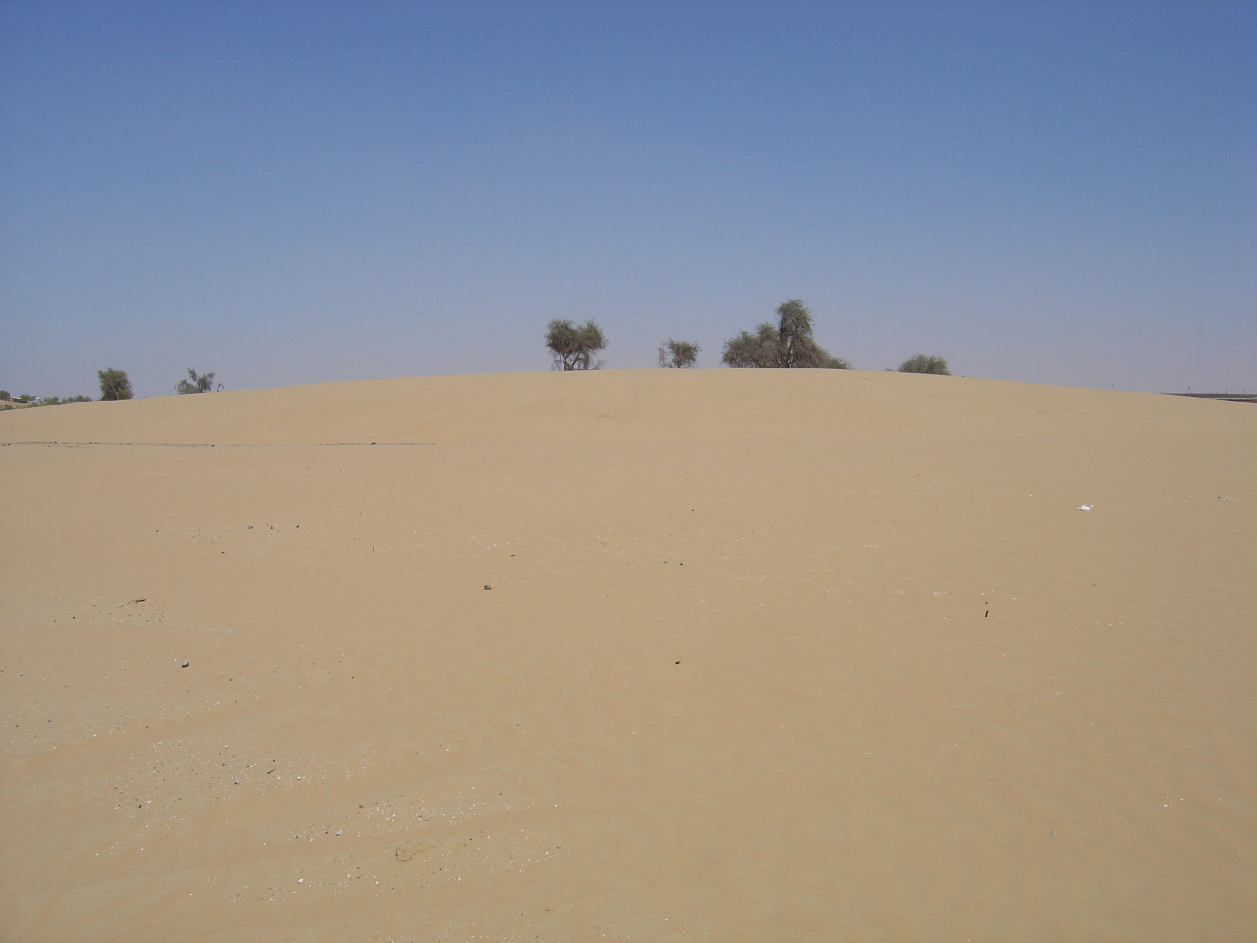 照片 阿联酋(United Arab Emirates) 阿治曼附近公路(Road near Ajman) 2005-03 9