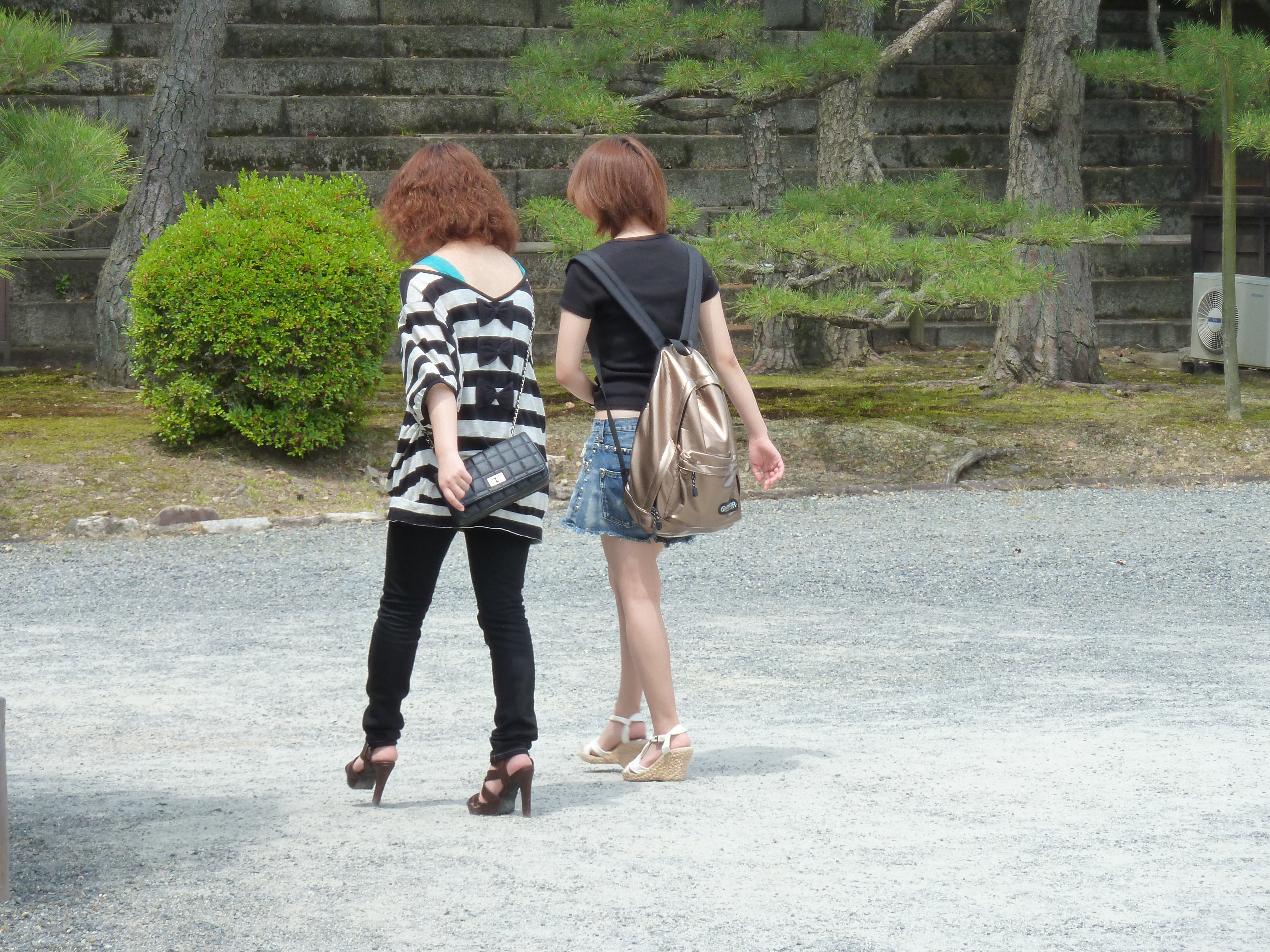 照片 日本(Japan) 京都(Kyoto) 二条城(Nijo Castle) 本丸御殿(Honmaru Palace) 2010-06 56