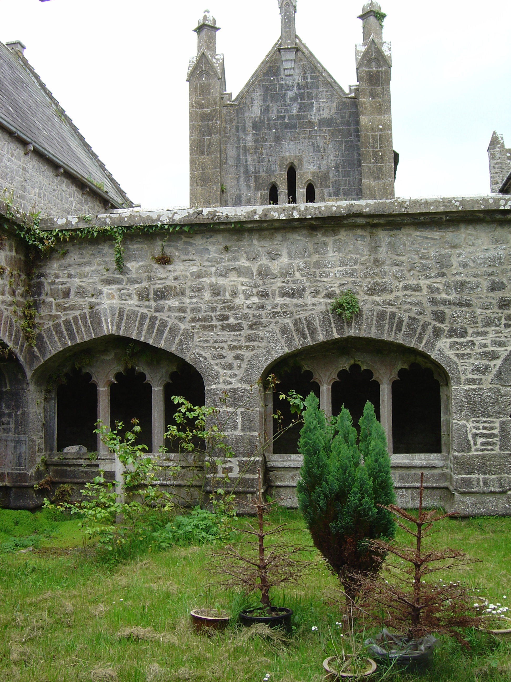 照片 爱尔兰(Ireland) 利默里克郡(Limerick County) 阿代尔(Adare) 2004-05 12