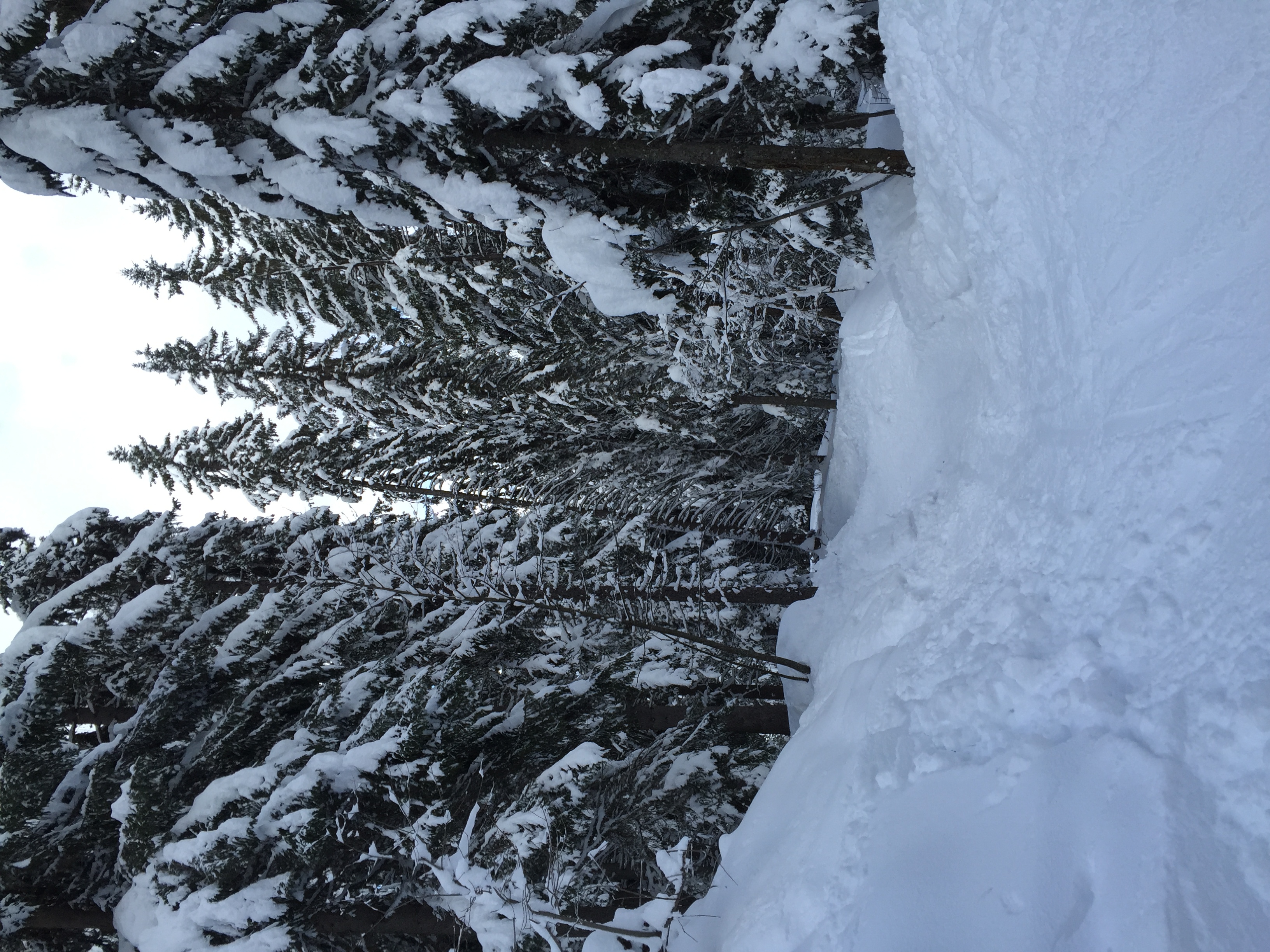照片 法国(France) 梅杰夫(Megeve) 2016-02 78