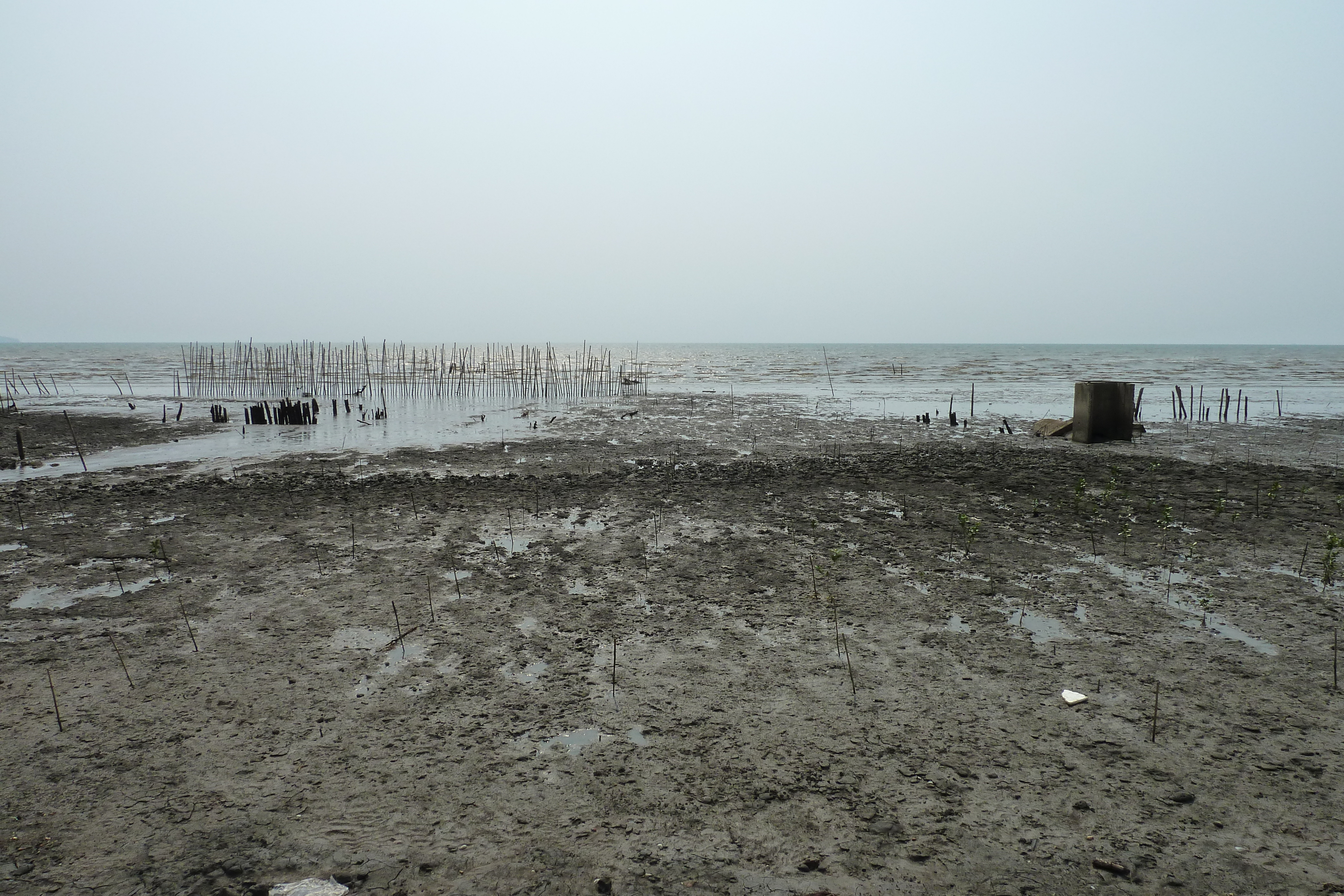 照片 泰国(Thailand) 象岛(Ko Chang) 渡轮(Ferry) 2011-02 3
