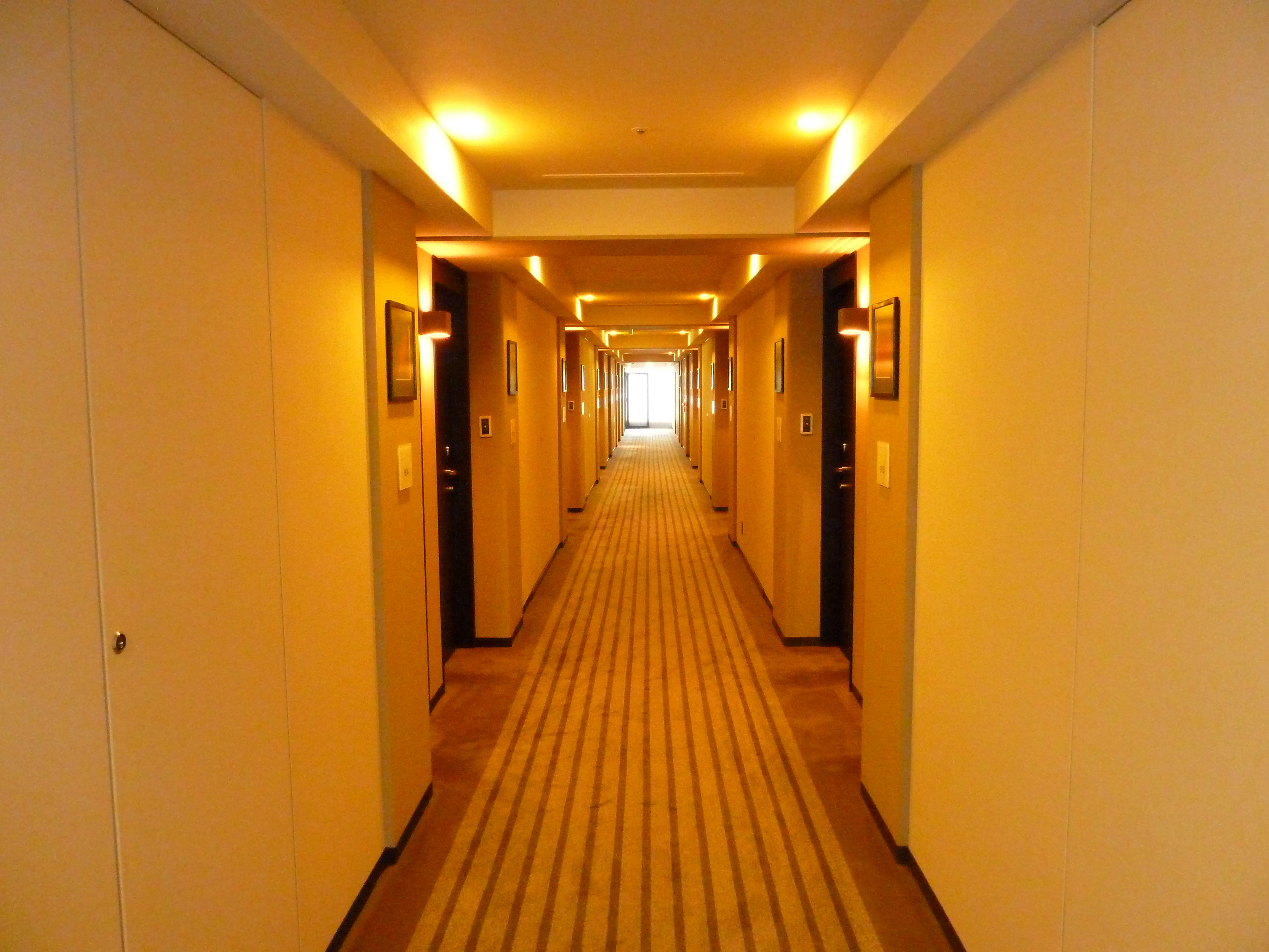 照片 日本(Japan) 东京(Tokyo) 东京新宿贝斯特韦斯特阿斯蒂娜酒店(Best Western Shinjuku Astina Hotel Tokyo) 2010-06 27