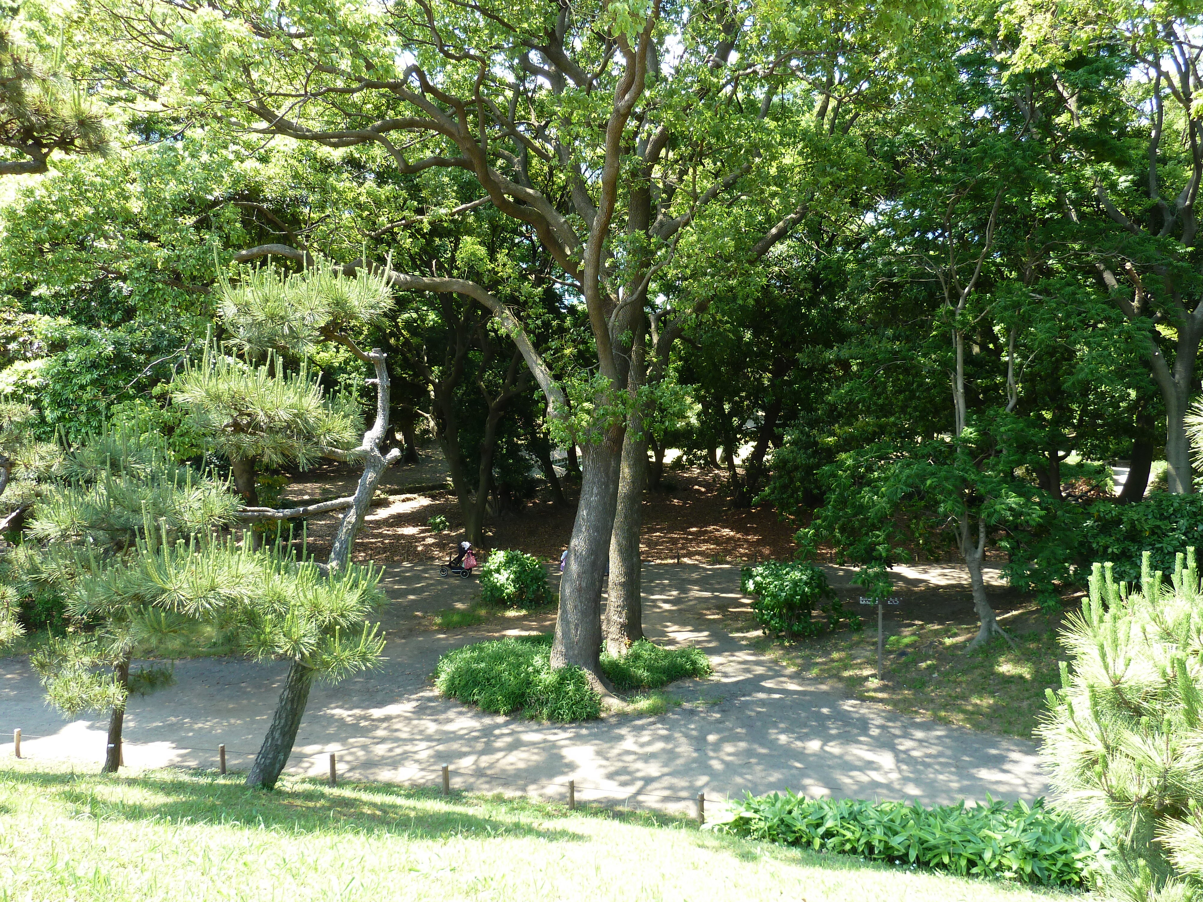 照片 日本(Japan) 东京(Tokyo) 滨离宫恩赐庭园(Hama rikyu Gardens) 2010-06 0