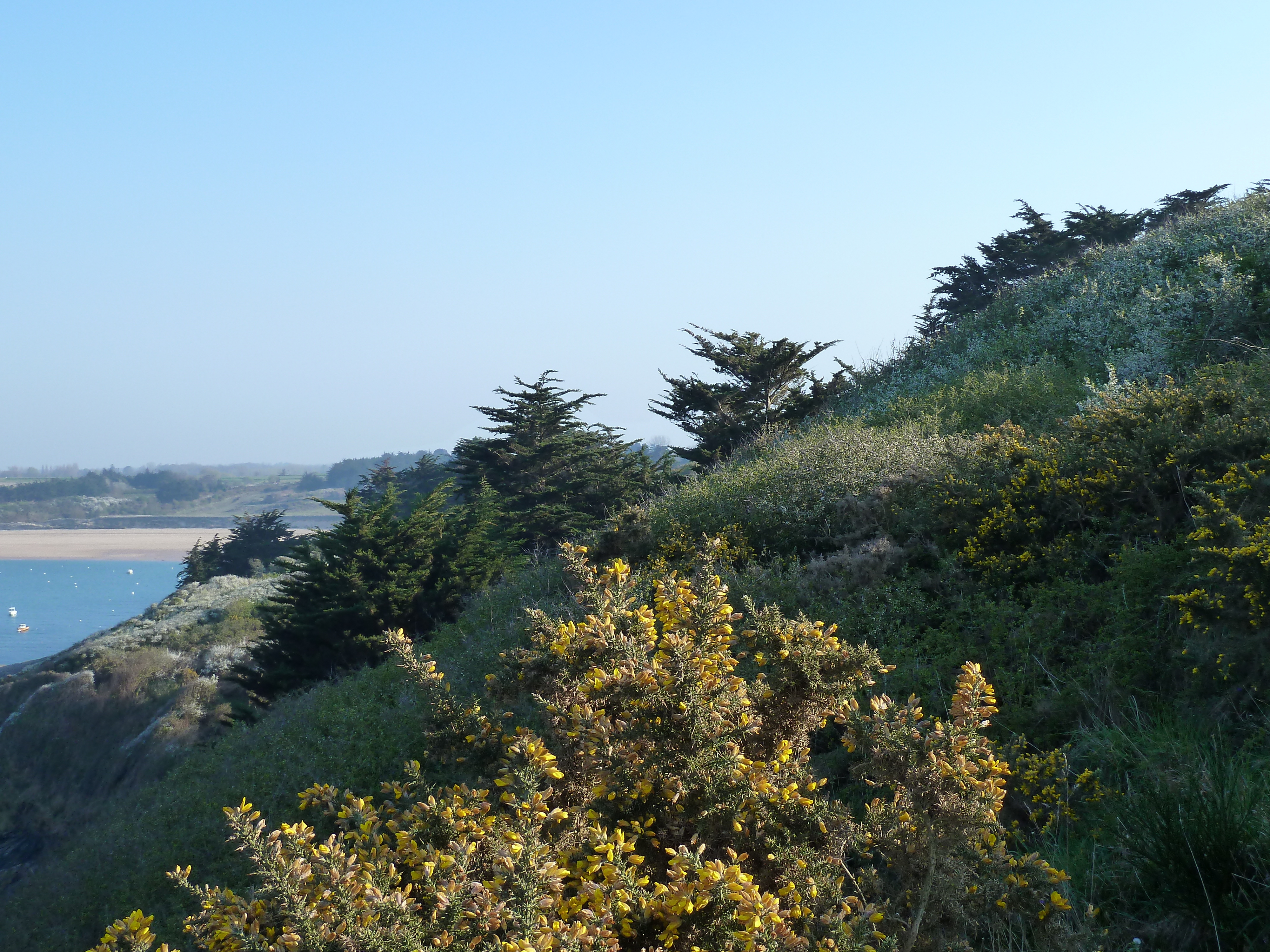 照片 法国(France) 圣库隆(St Coulomb) 2010-04 16