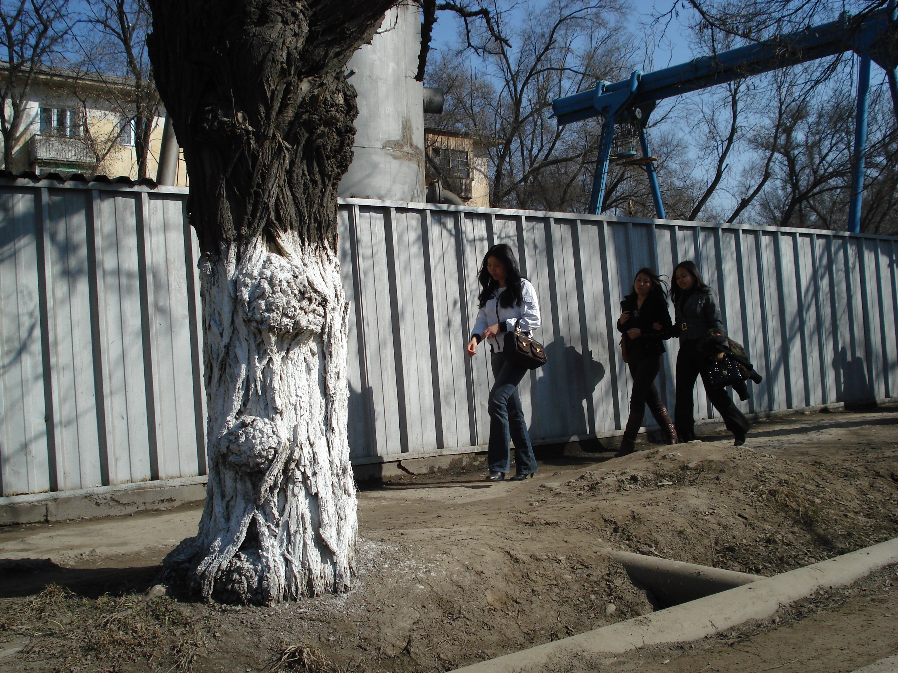 照片 哈萨克斯坦(Kazakhstan) 阿拉木图(Almaty) 2007-03 145