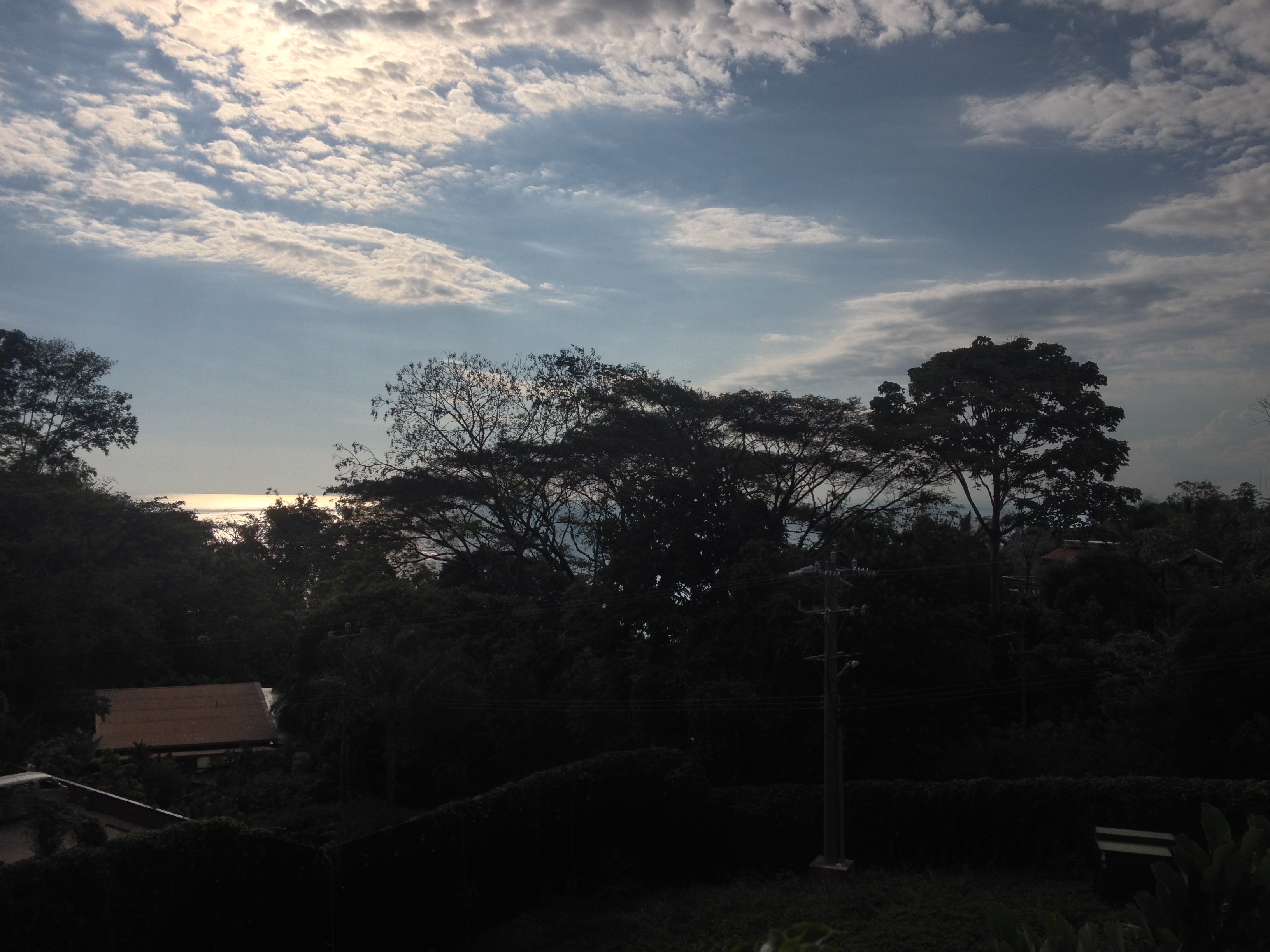 照片 哥斯达黎加(Costa Rica) 曼努埃尔安东尼奥(Manuel Antonio) 2015-03 273