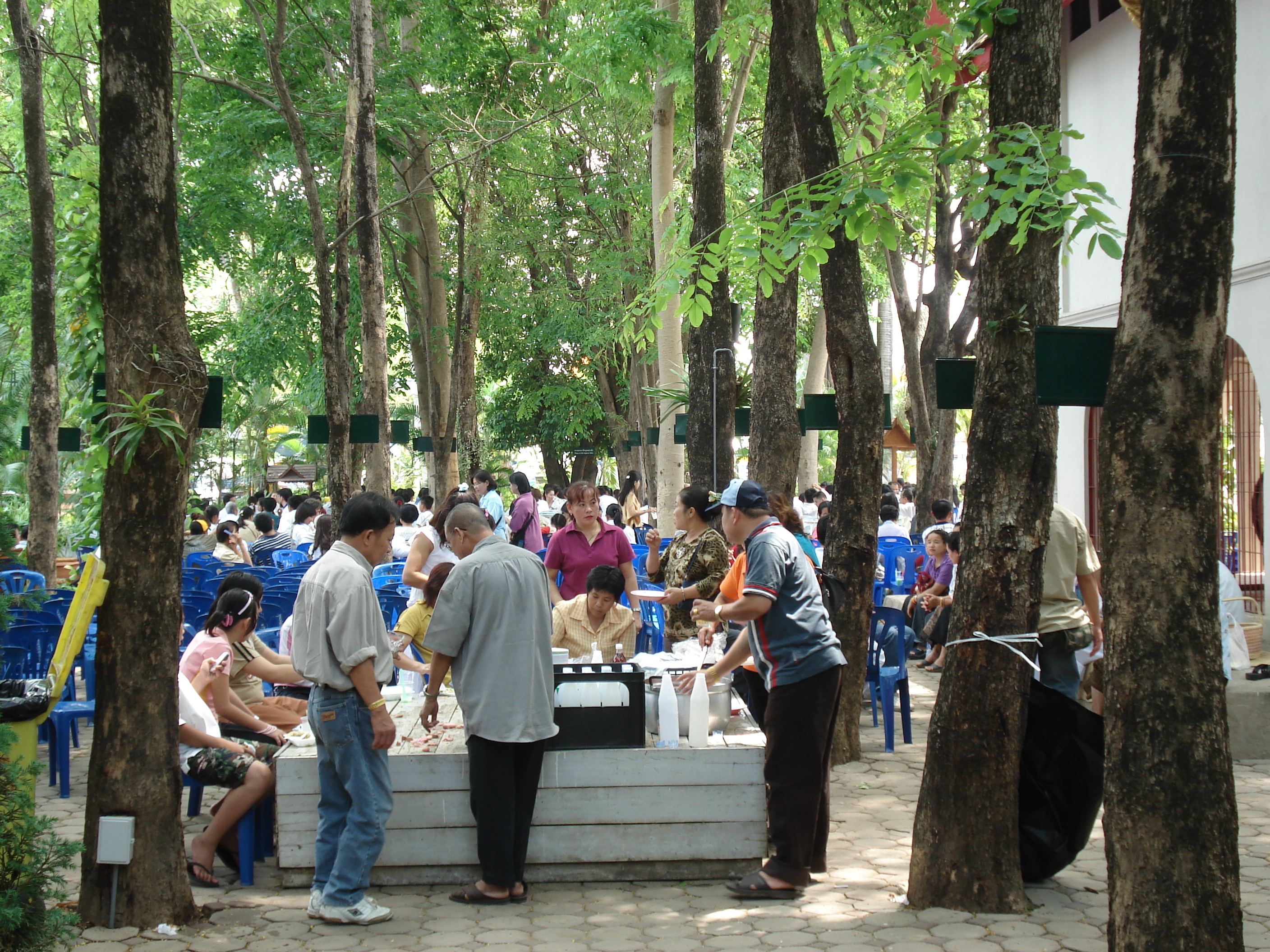 照片 泰国(Thailand) 清迈(Chiang Mai) 护城河内(Inside Canal) 帕辛寺(Wat Phra Sing temple) 2006-04 10