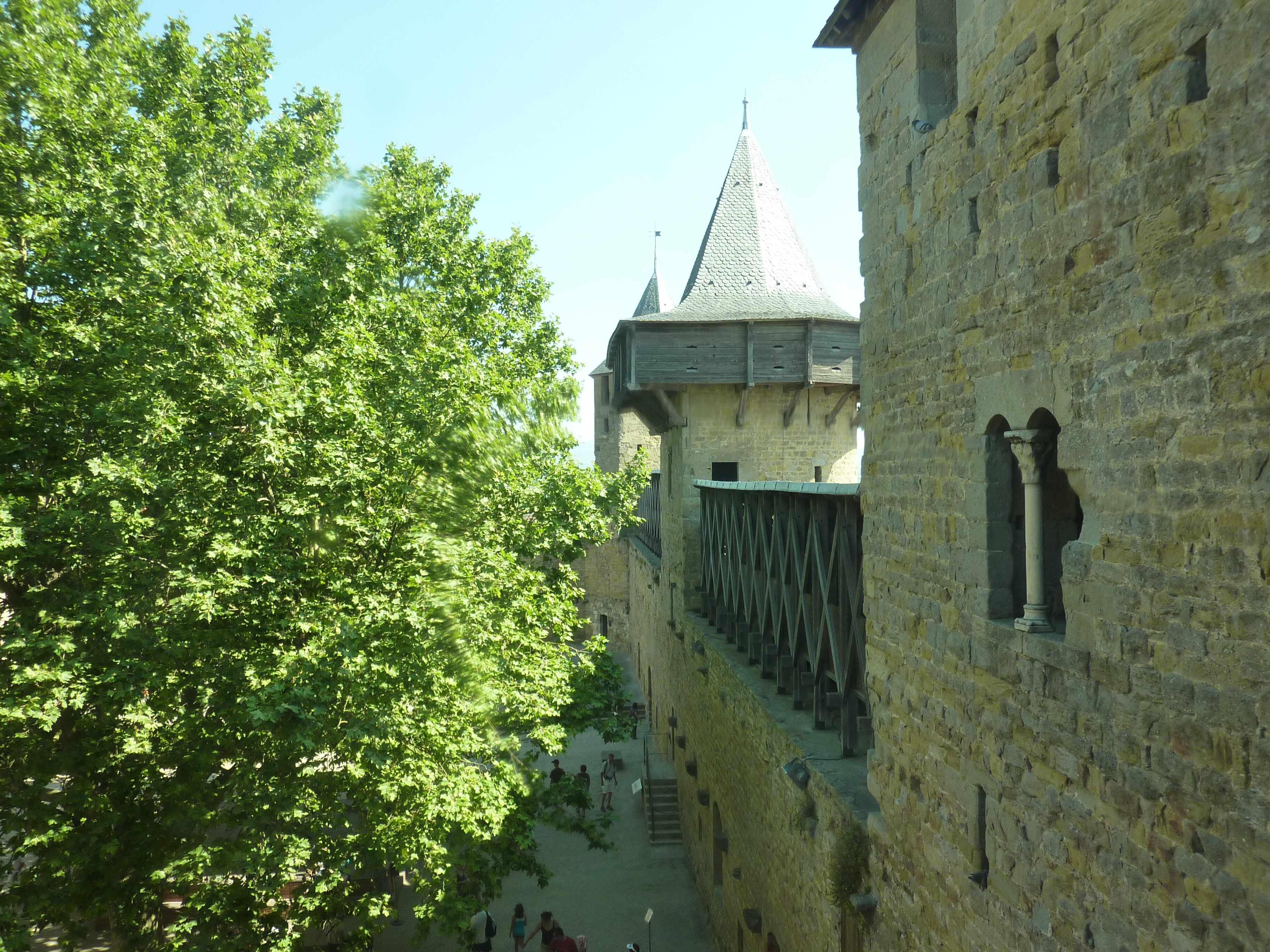 照片 法国(France) 卡尔卡松(Carcassonne) 2009-07 84