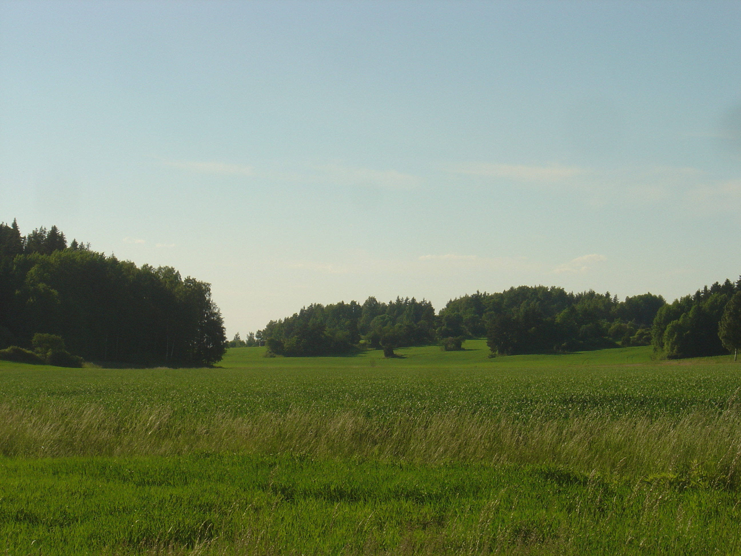 照片 瑞典(Sweden) 锡格蒂纳至乌普萨拉公路(Sigtuna to Uppsala road) 2005-06 9