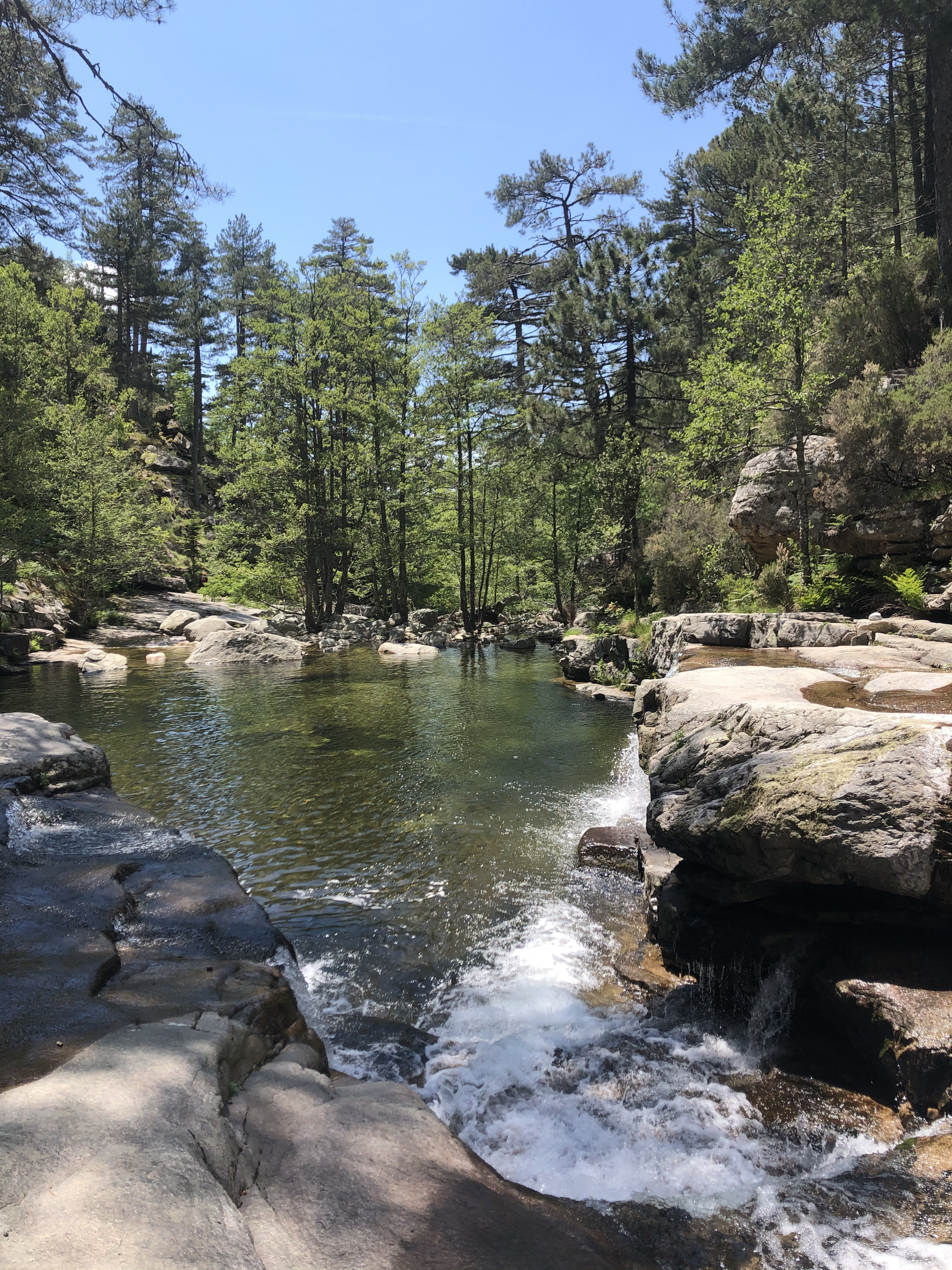 照片 法国(France) 科西嘉岛(Corsica) 艾托内森林(Aitone Forest) 2021-06 35