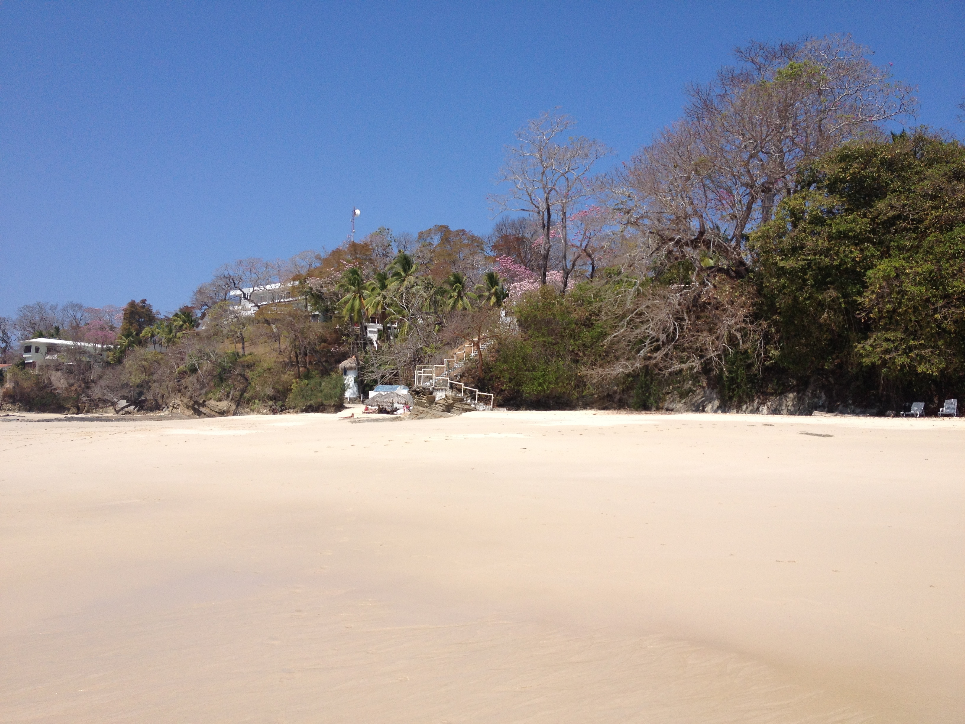 照片 巴拿马(Panama) 孔塔多拉岛(Contadora Island) 2015-03 69