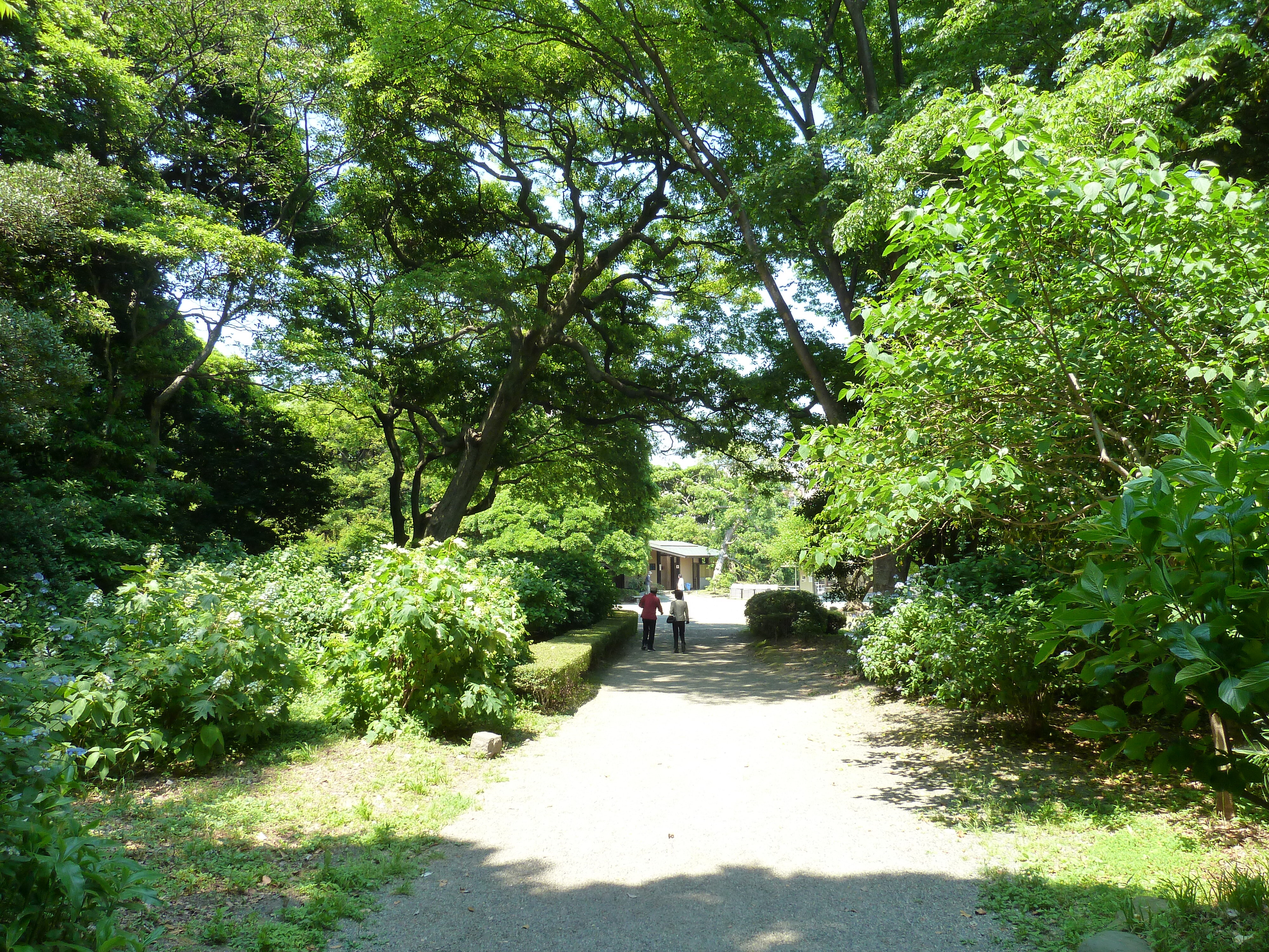 照片 日本(Japan) 东京(Tokyo) 滨离宫恩赐庭园(Hama rikyu Gardens) 2010-06 28