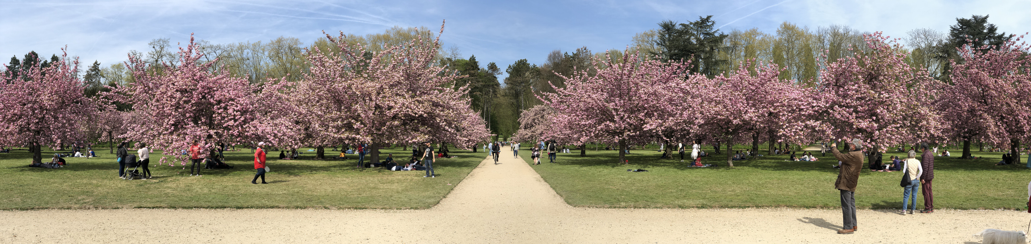 照片 法国(France) 索镇公园(Parc de Sceaux) 2019-04 52