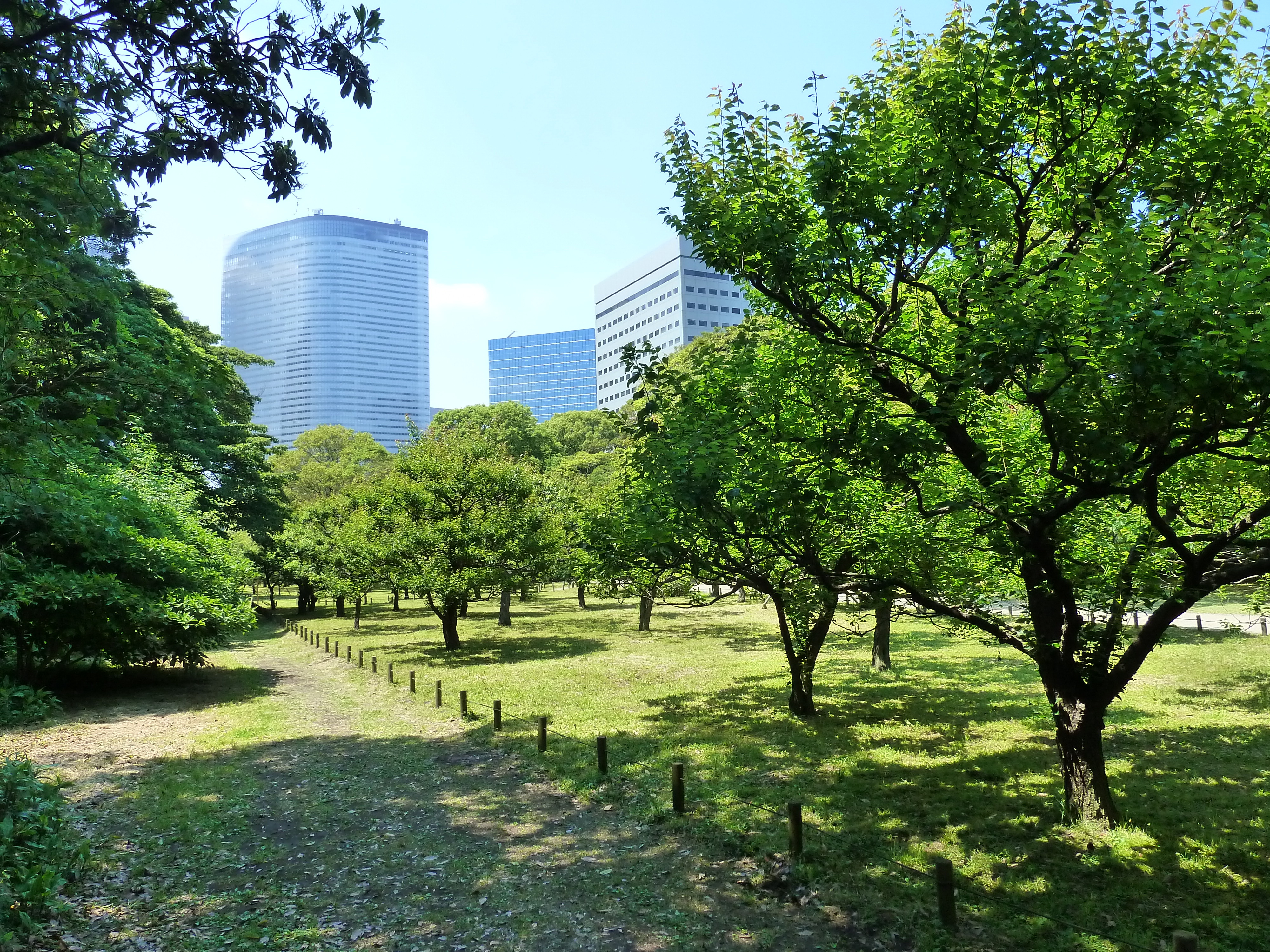 照片 日本(Japan) 东京(Tokyo) 滨离宫恩赐庭园(Hama rikyu Gardens) 2010-06 122