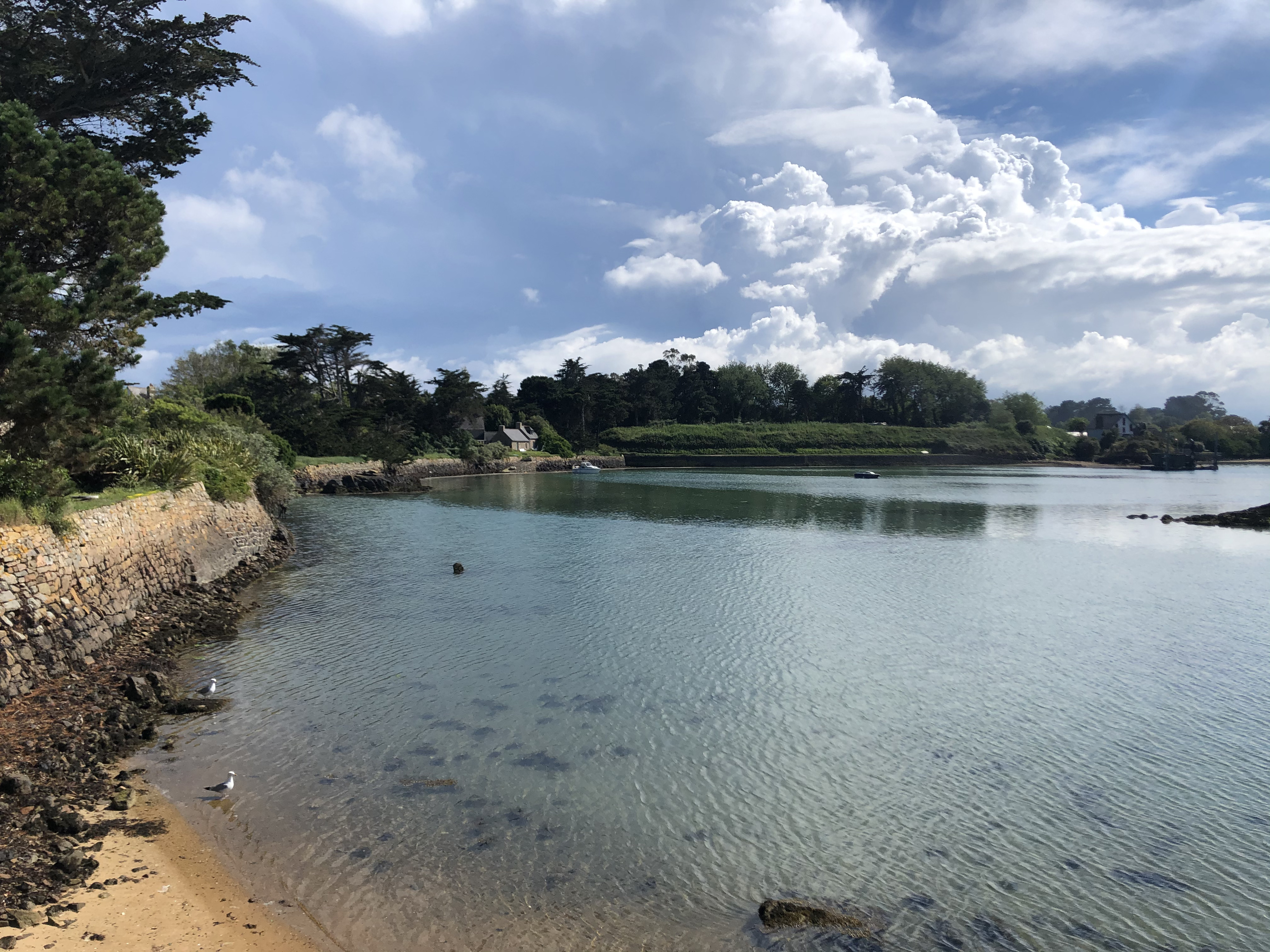 照片 法国(France) 布雷阿岛(Brehat Island) 2020-06 147