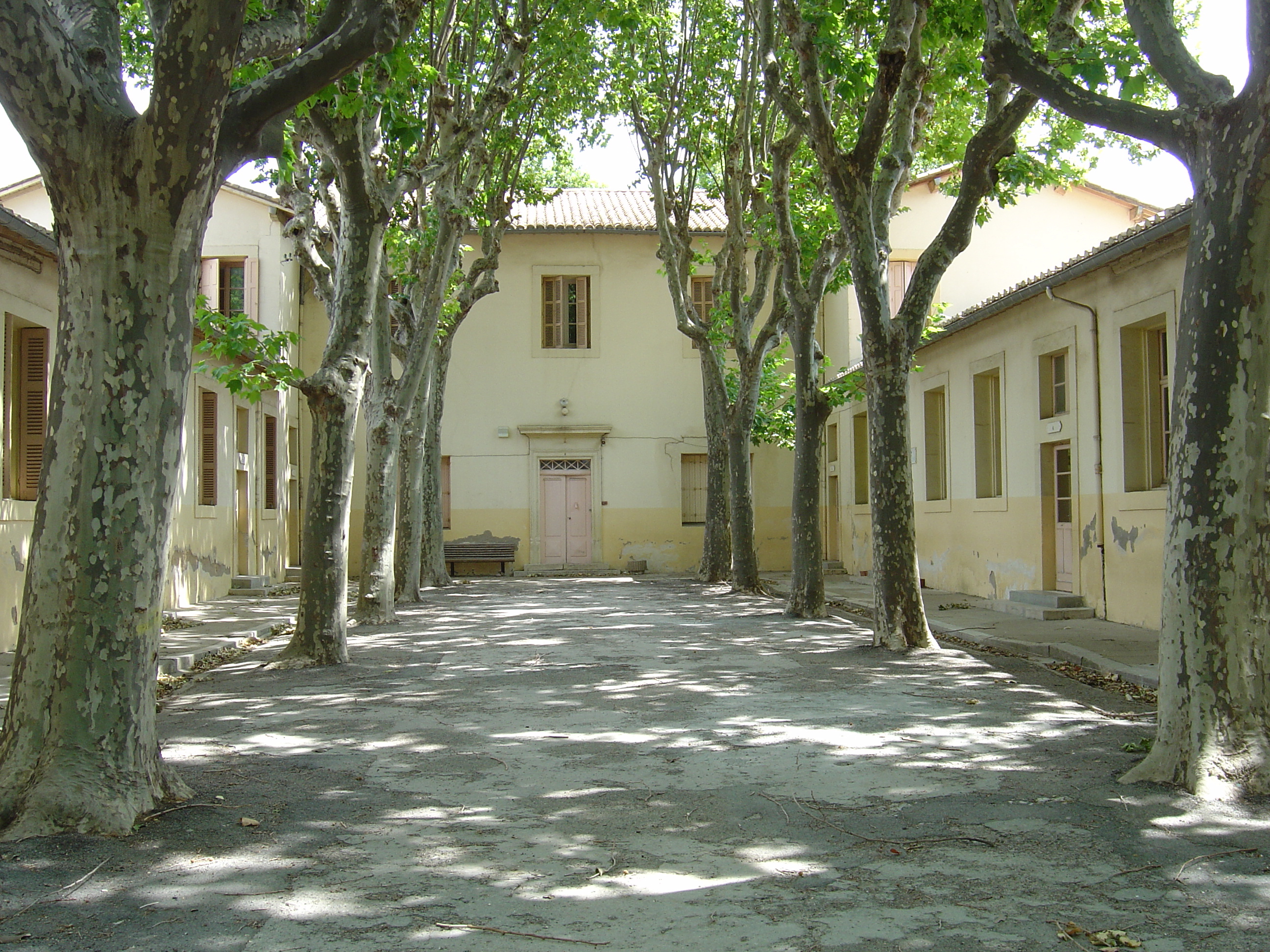 照片 法国(France) 吕内勒(Lunel) 2004-08 21