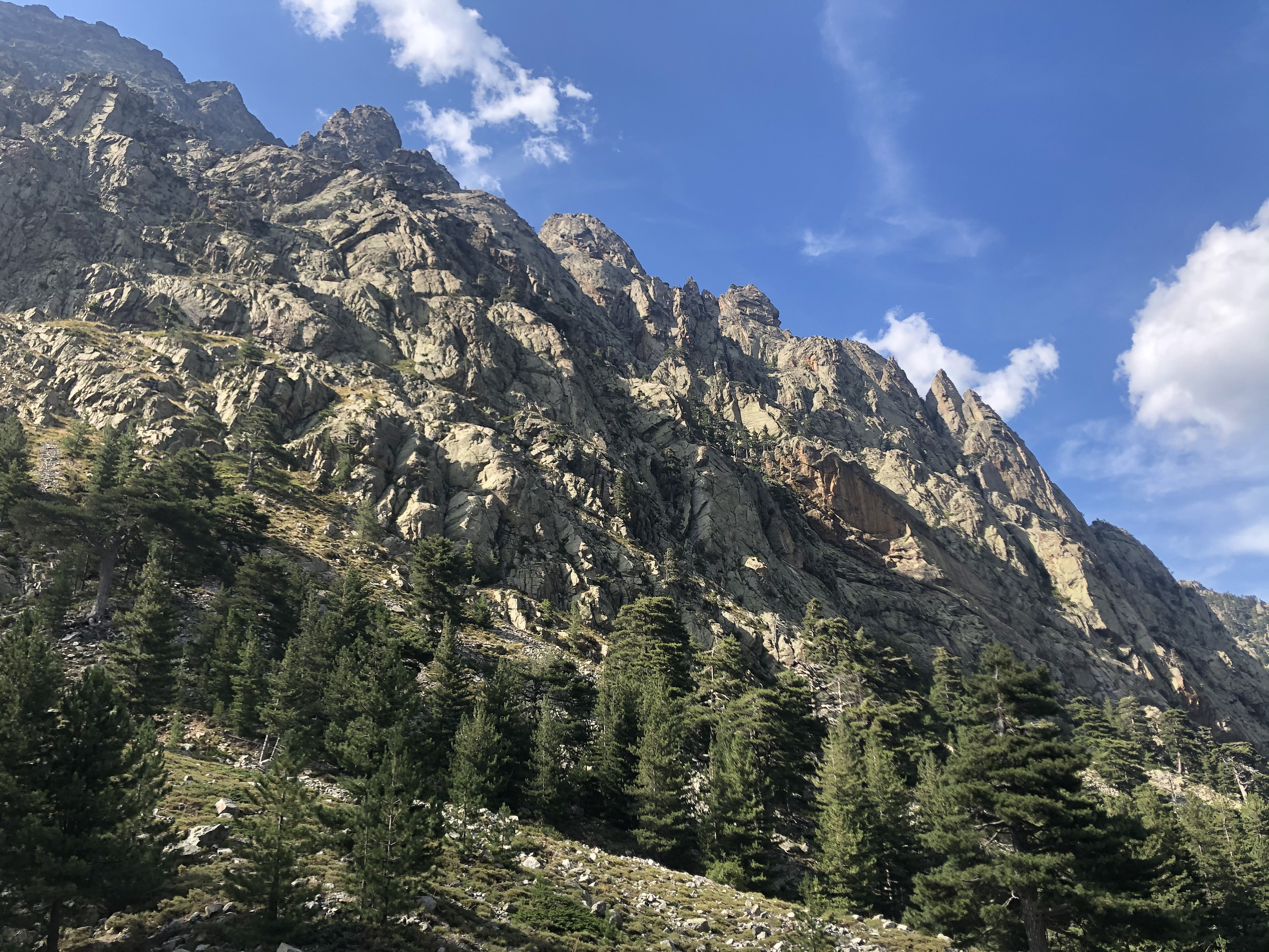 照片 法国(France) 科西嘉岛(Corsica) 雷斯托尼卡山谷(La Restonica) 2020-07 37