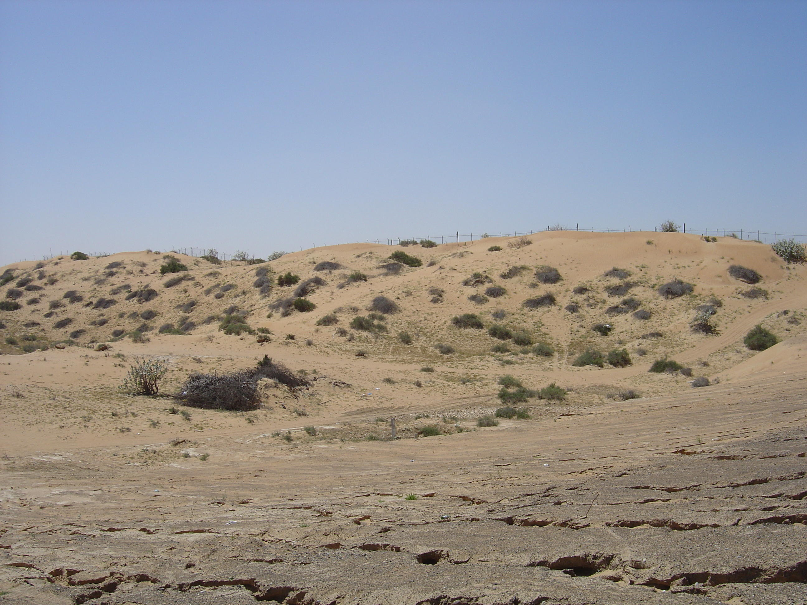 照片 阿联酋(United Arab Emirates) 阿治曼附近公路(Road near Ajman) 2005-03 4