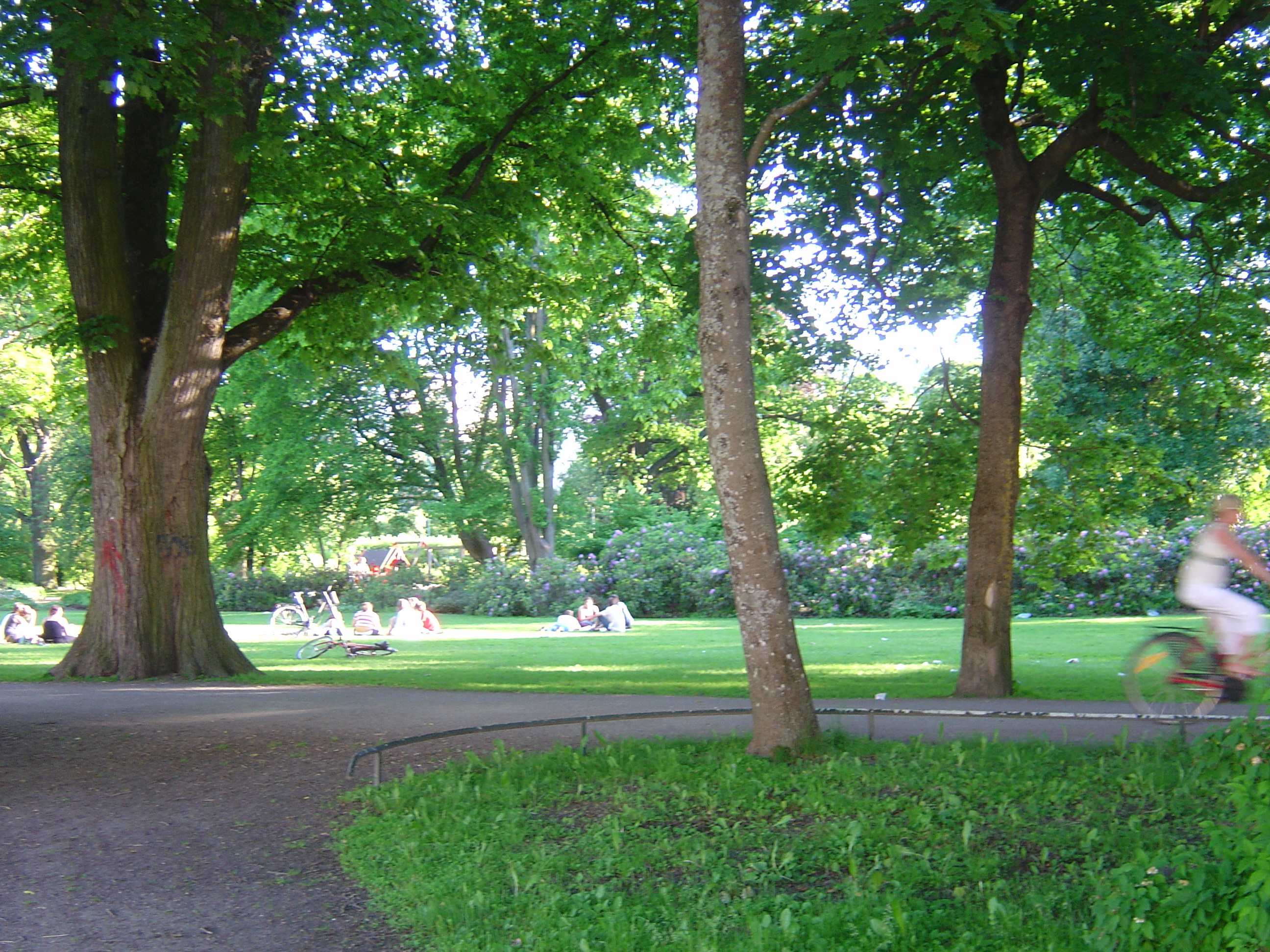 照片 瑞典(Sweden) 乌普萨拉(Uppsala) 2005-06 41