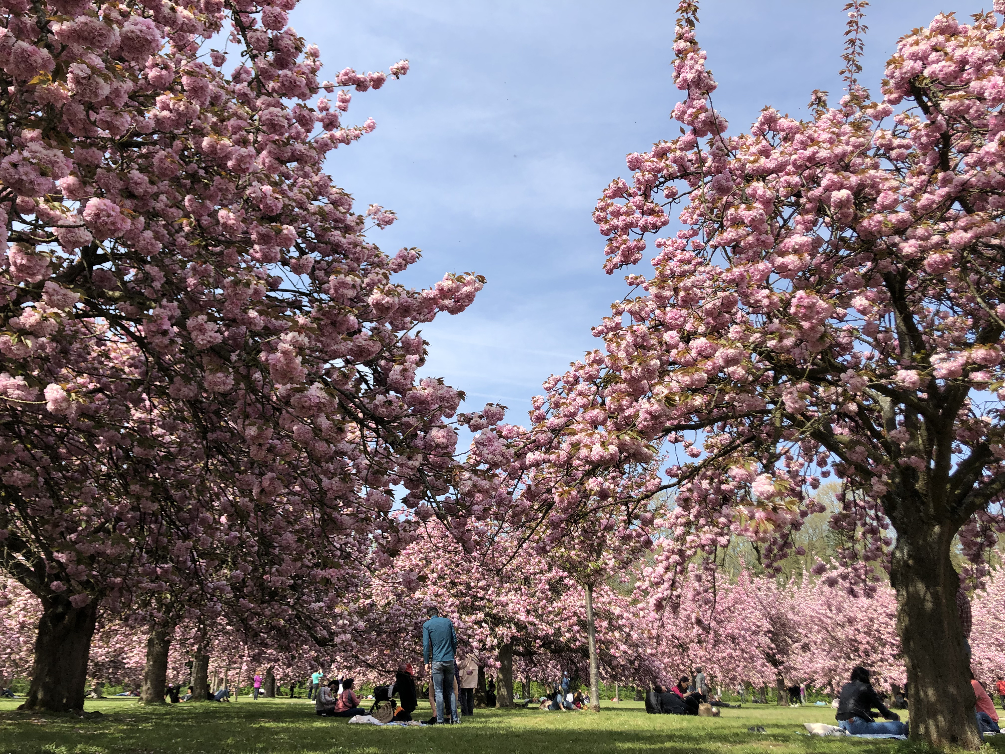 照片 法国(France) 索镇公园(Parc de Sceaux) 2019-04 57