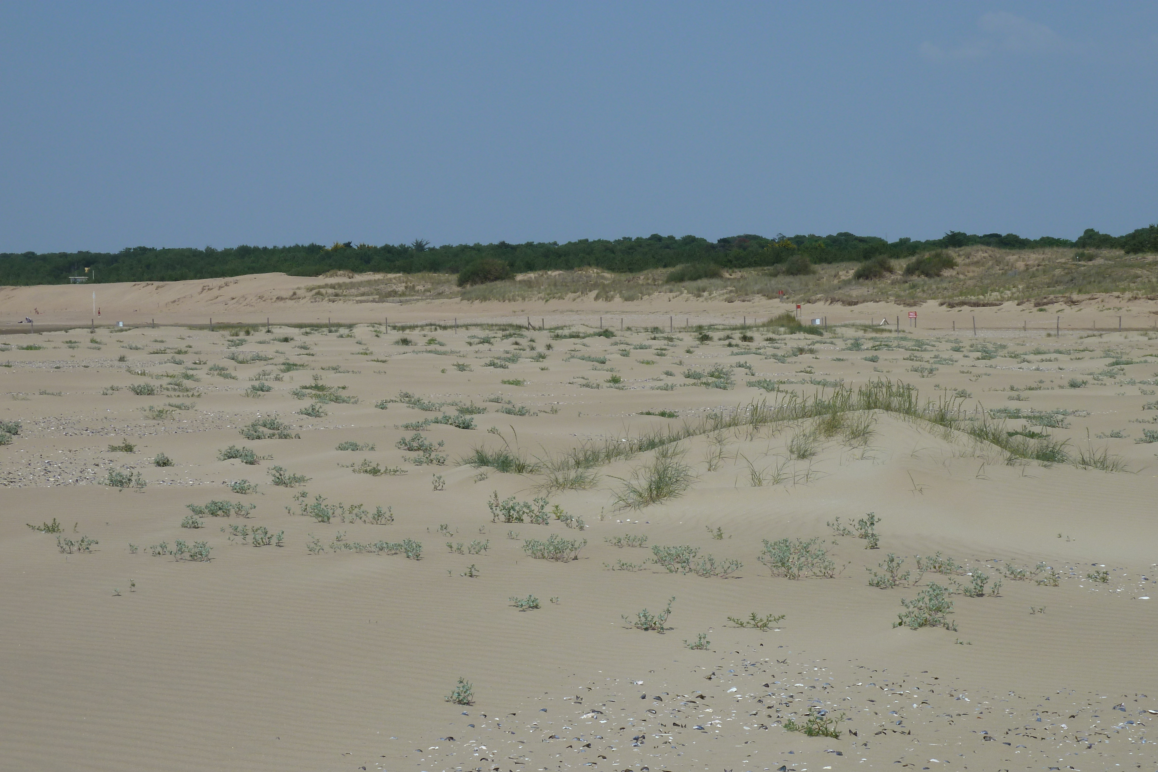 照片 法国(France) 圣布雷万(St Brevin) 2011-05 67