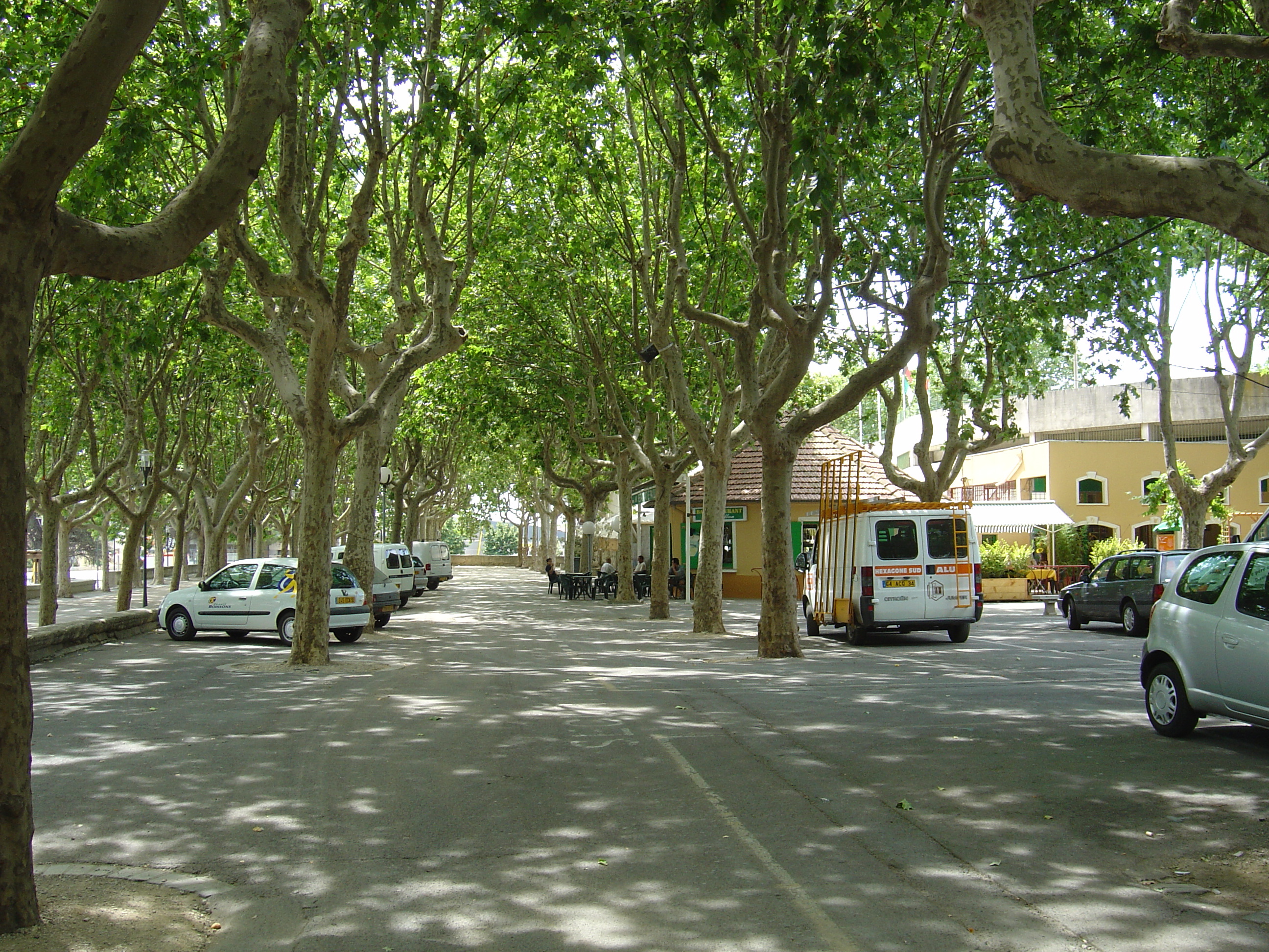 照片 法国(France) 吕内勒(Lunel) 2004-08 13